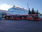 Пассажирское автотранспортное предприятие № 2 (ulitsa Krylova, 3), transport company, car depot
