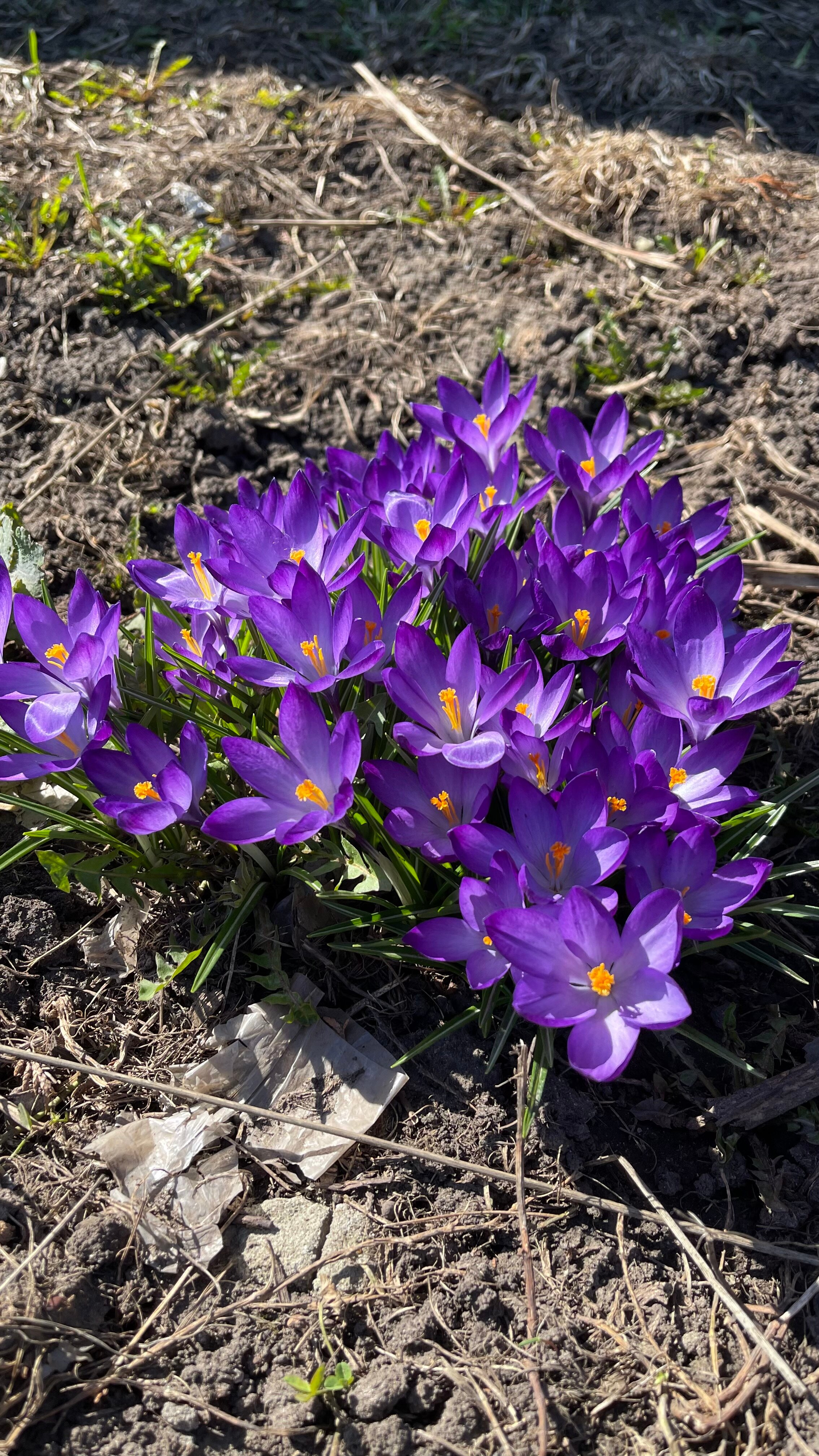 Фото Заповедное Прибрежье