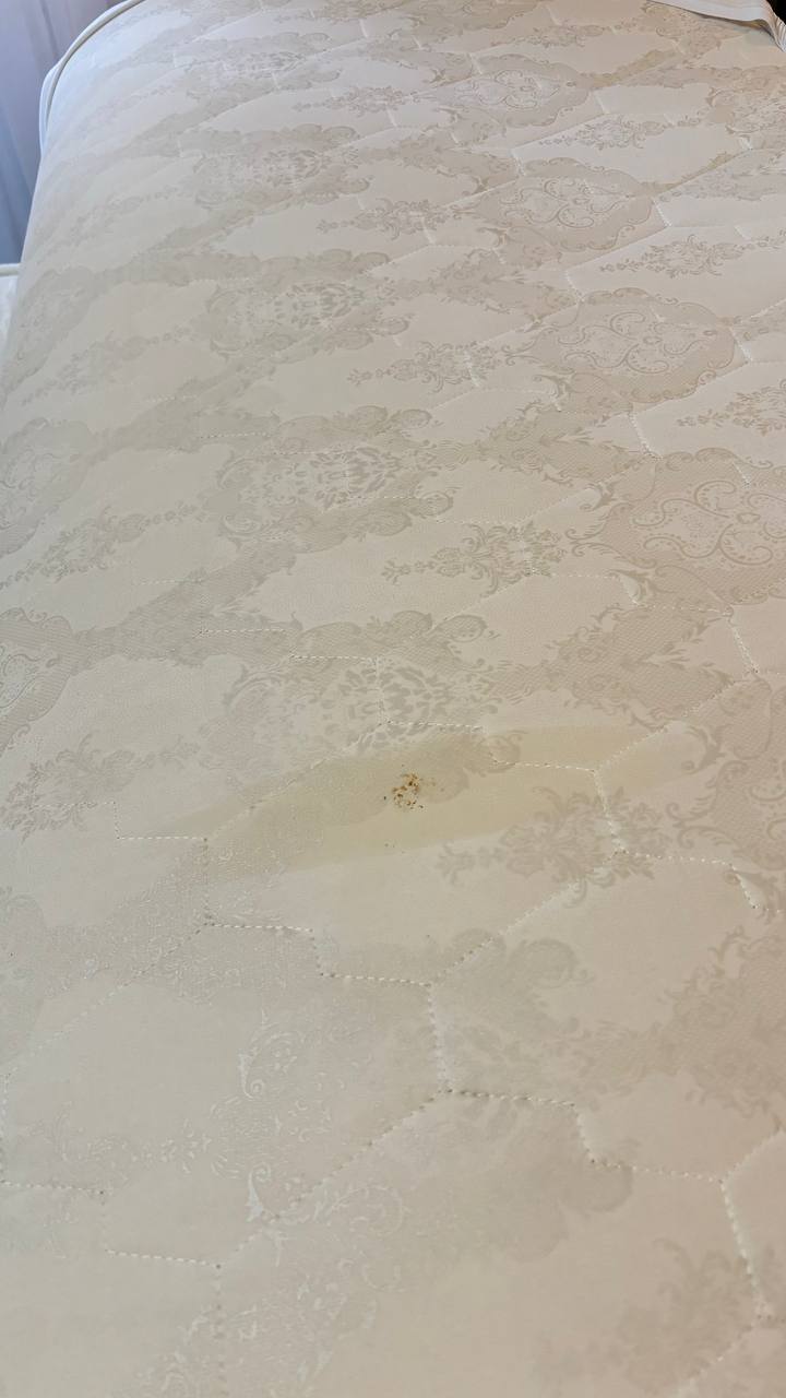 Фото Гранд Премьер