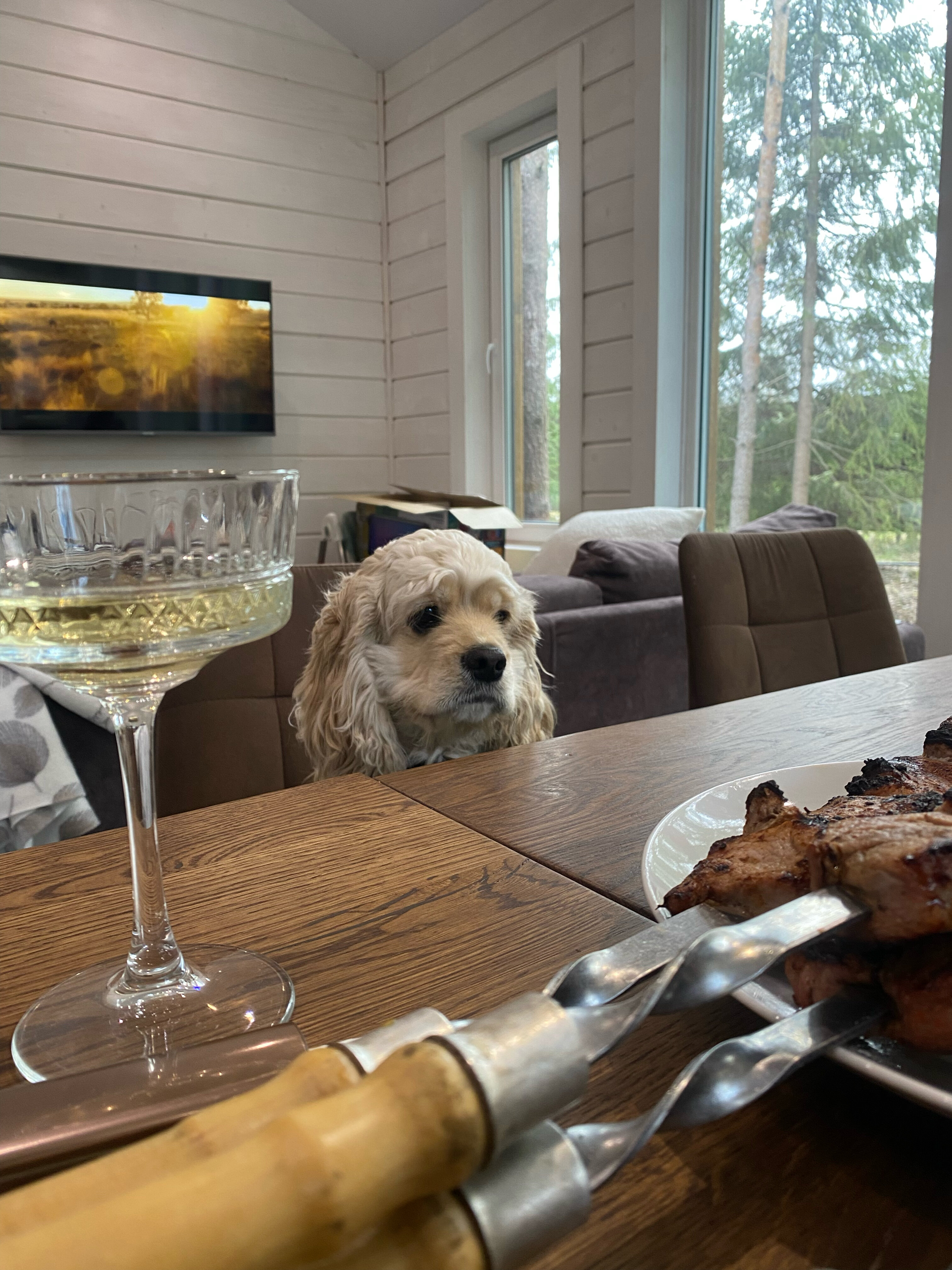 Фото Дача ForestHall