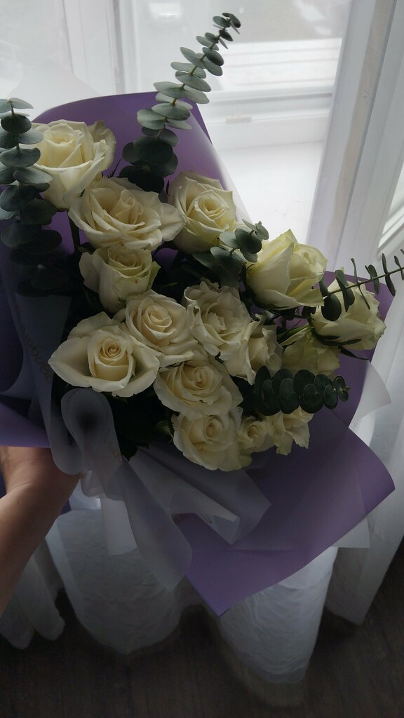 Евгения Чудова