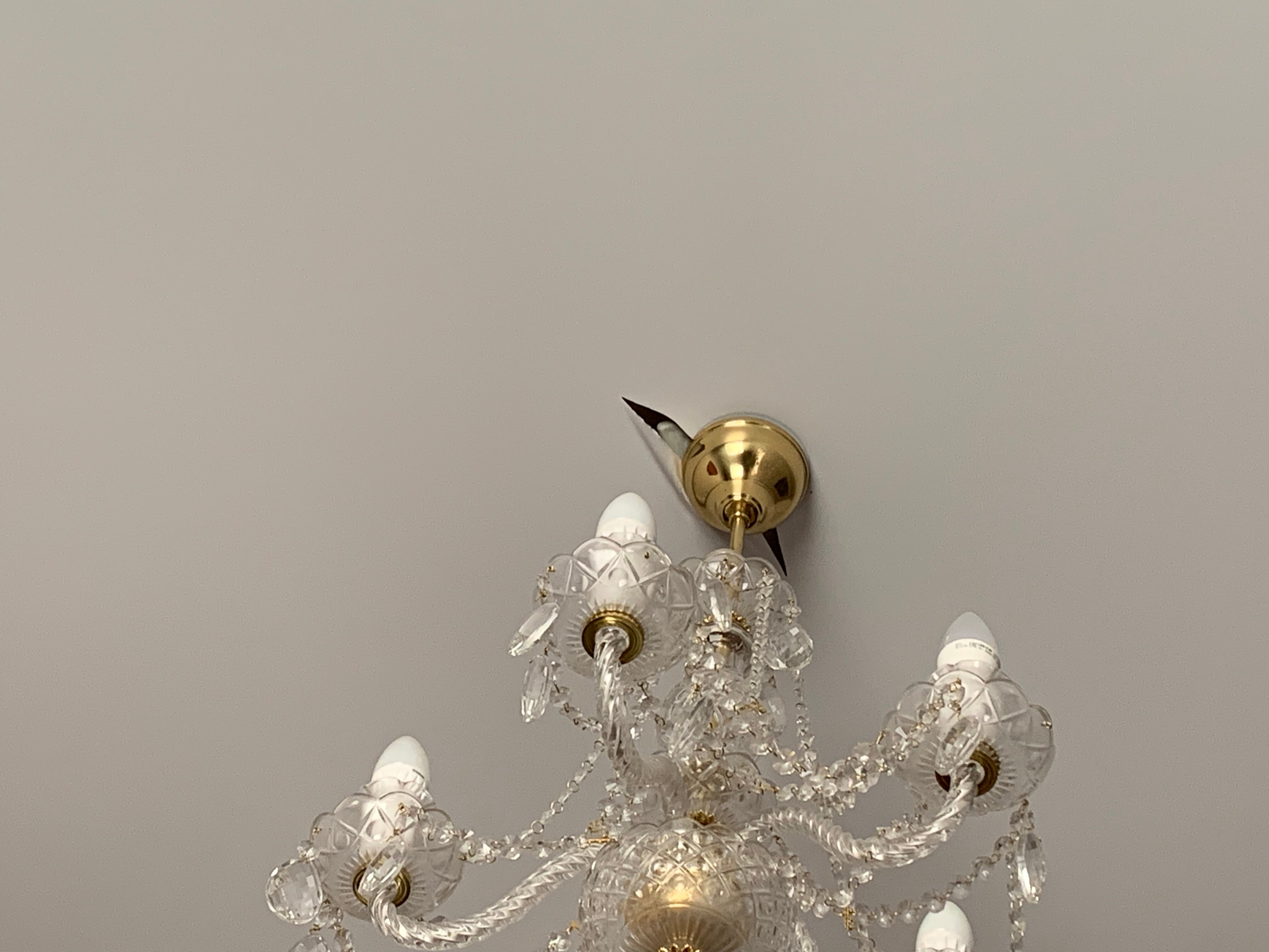 Фото Au Rooms Континент