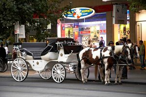 Гостиница Mercure Melbourne Therry Street