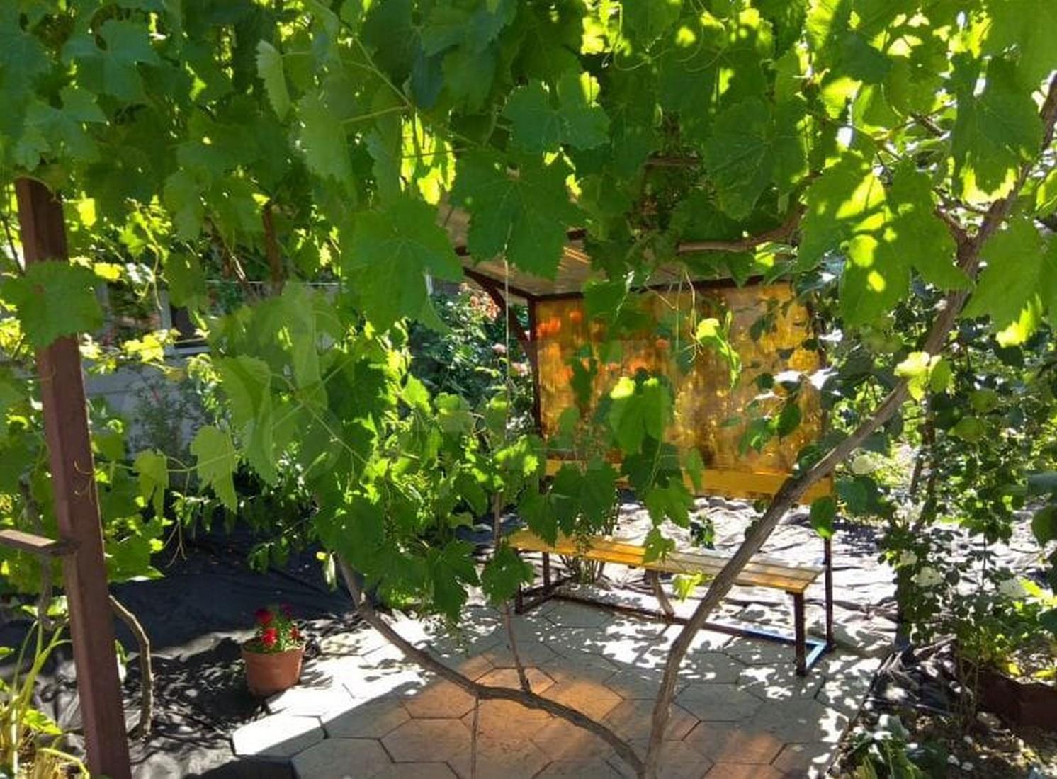 Фото Уютный дом