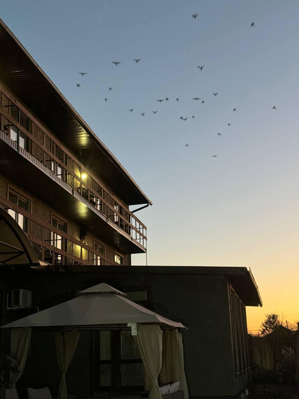 Фото Замок Ксю