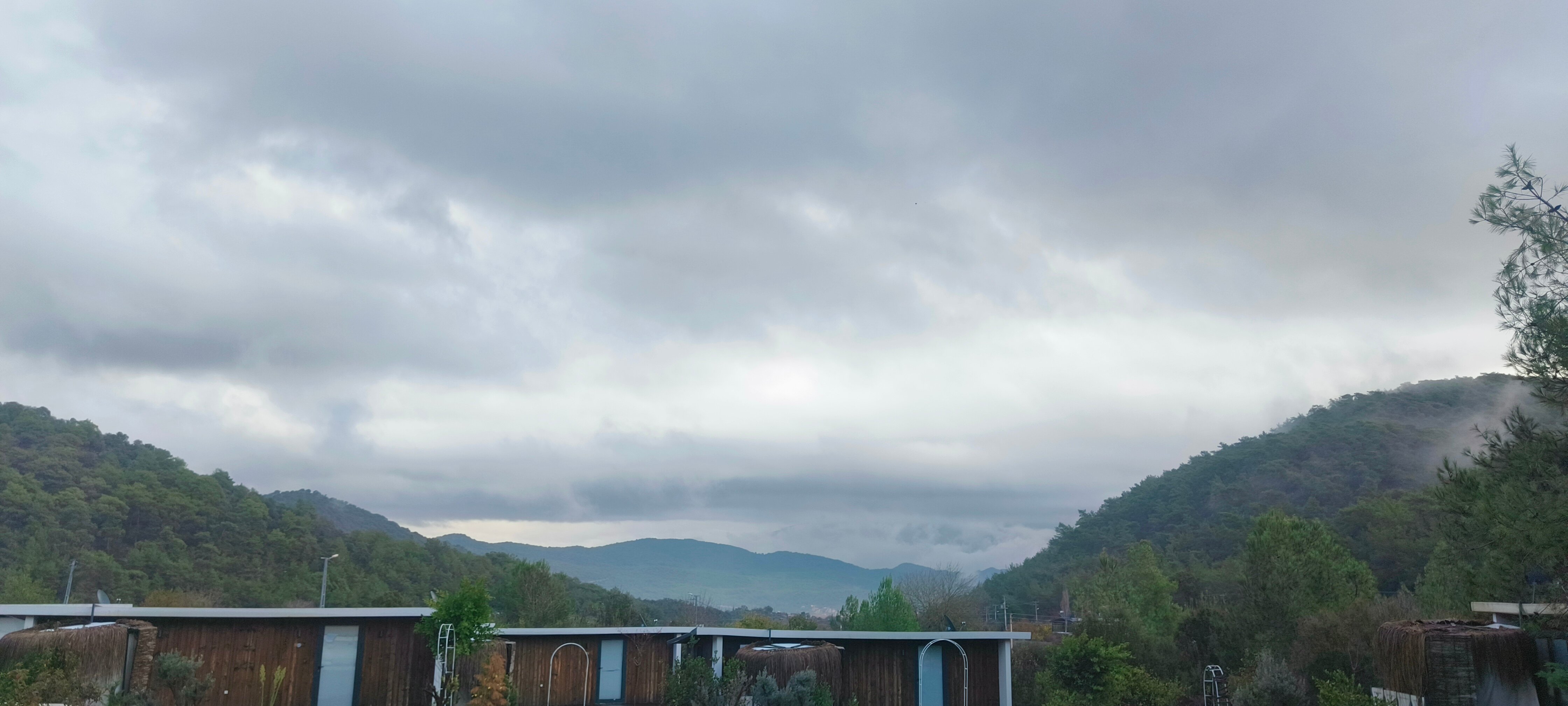 Фото Mossa Afkule