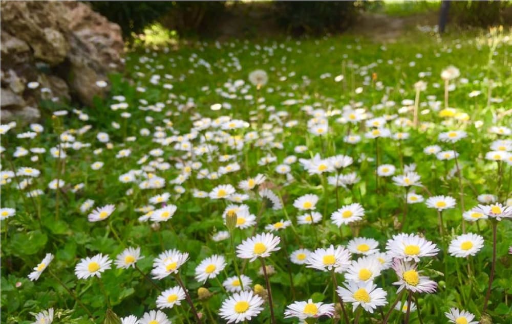 Фото Agriturismo Le Cascatelle