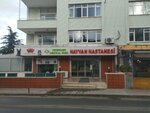 Veterinary Medical Park (Ankara Province, Cankaya District, Filistin Cad., 35A), clínica veterinaria