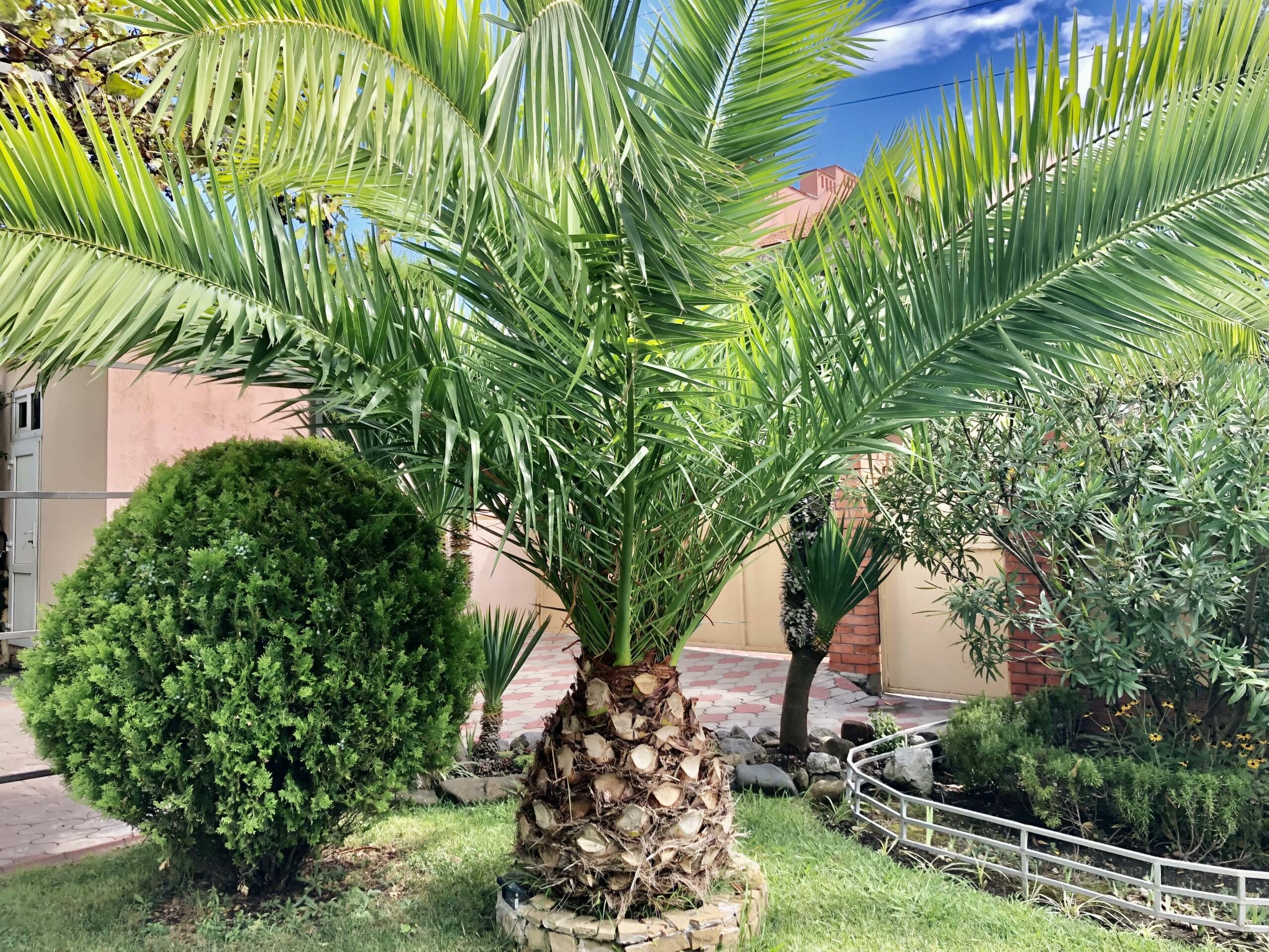 Фото Мишель