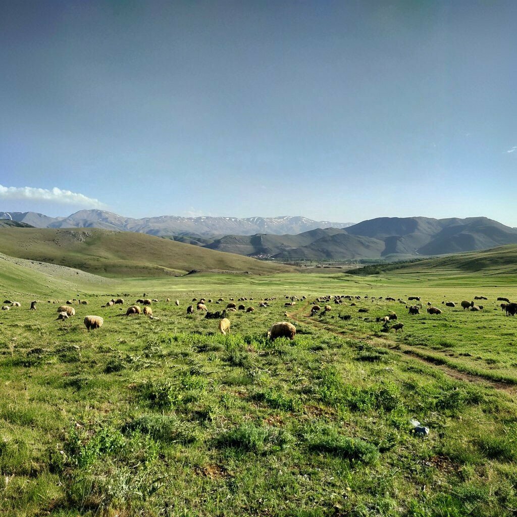 Primary school Güzelköy Primary School, Dogansehir, photo
