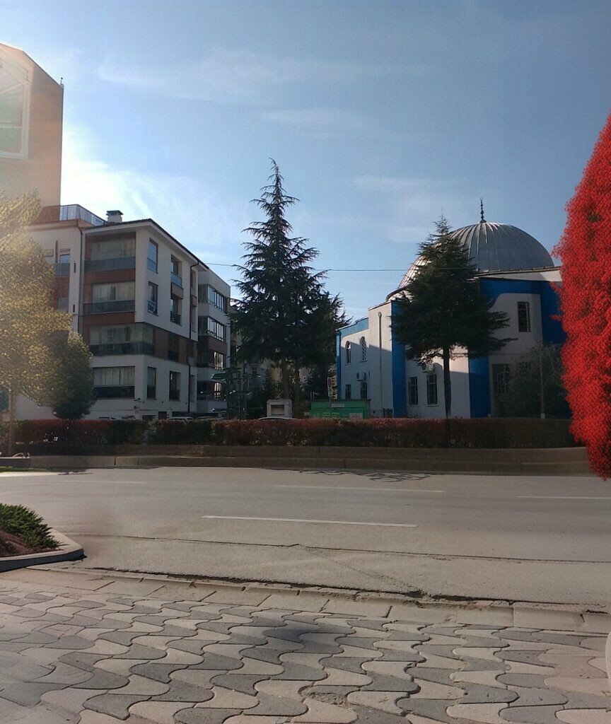 Software companies Bem Computer, Eskisehir, photo