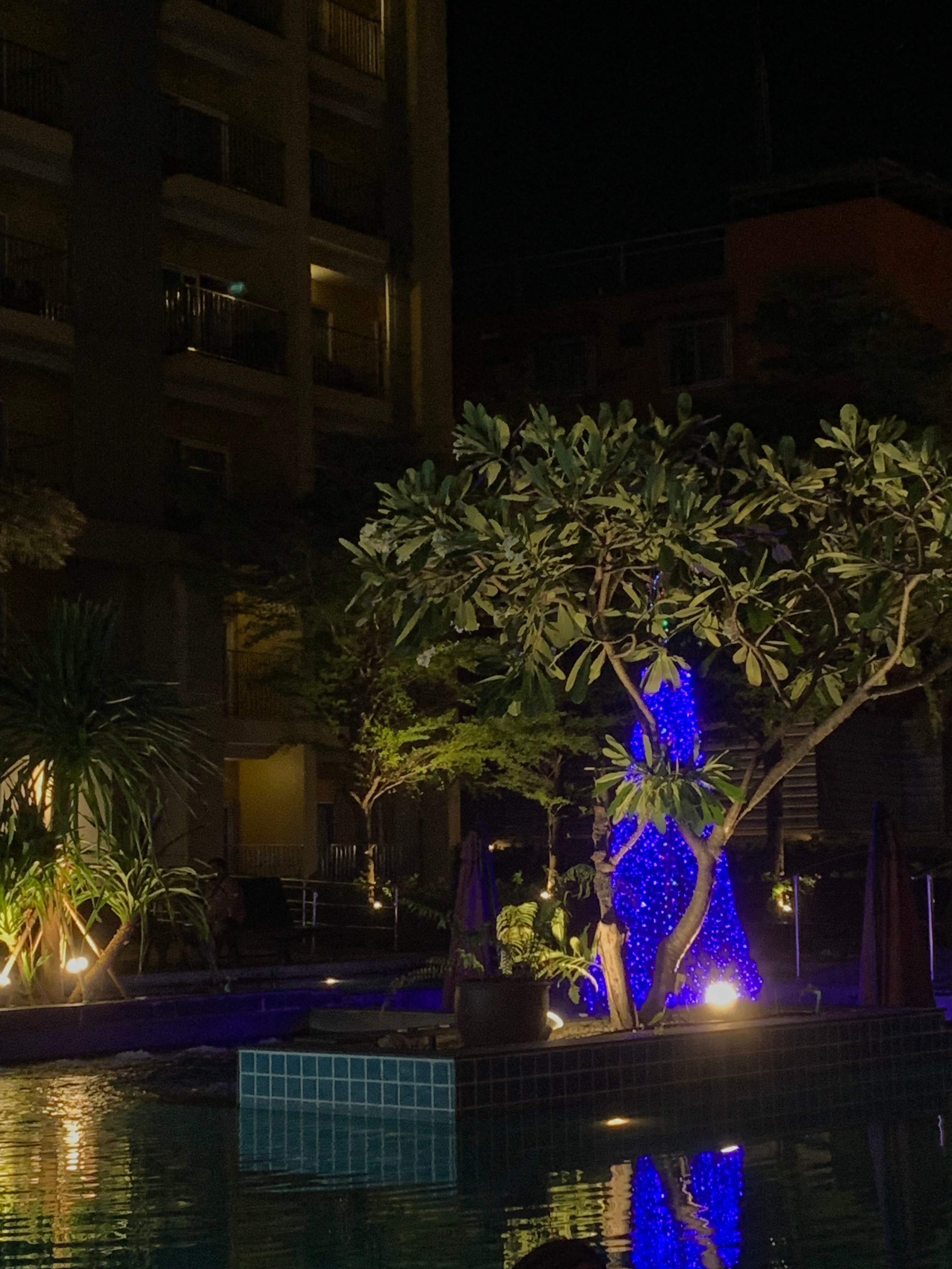 Фото Bella Express