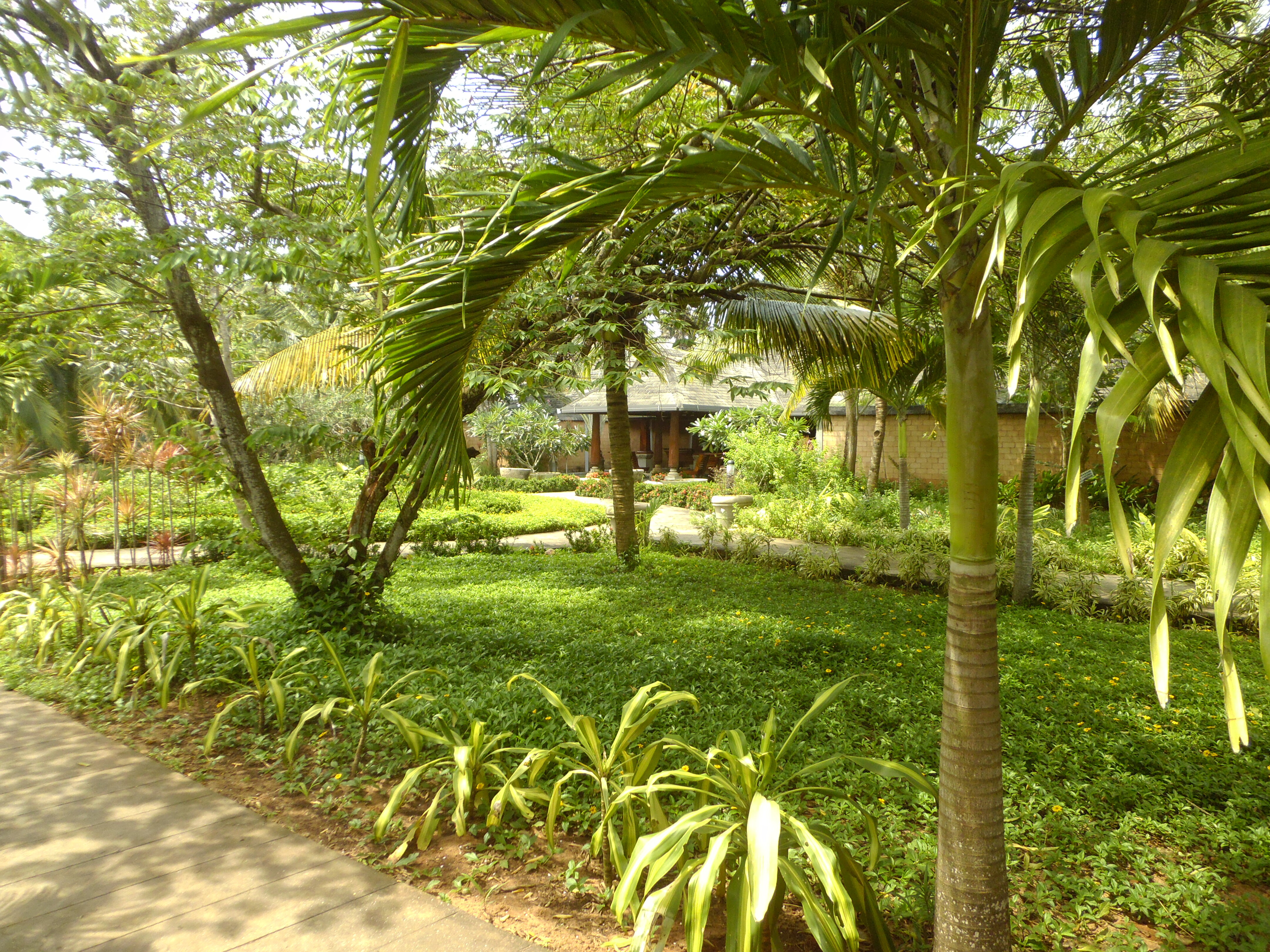 Фото Отель Poovar Island Resort