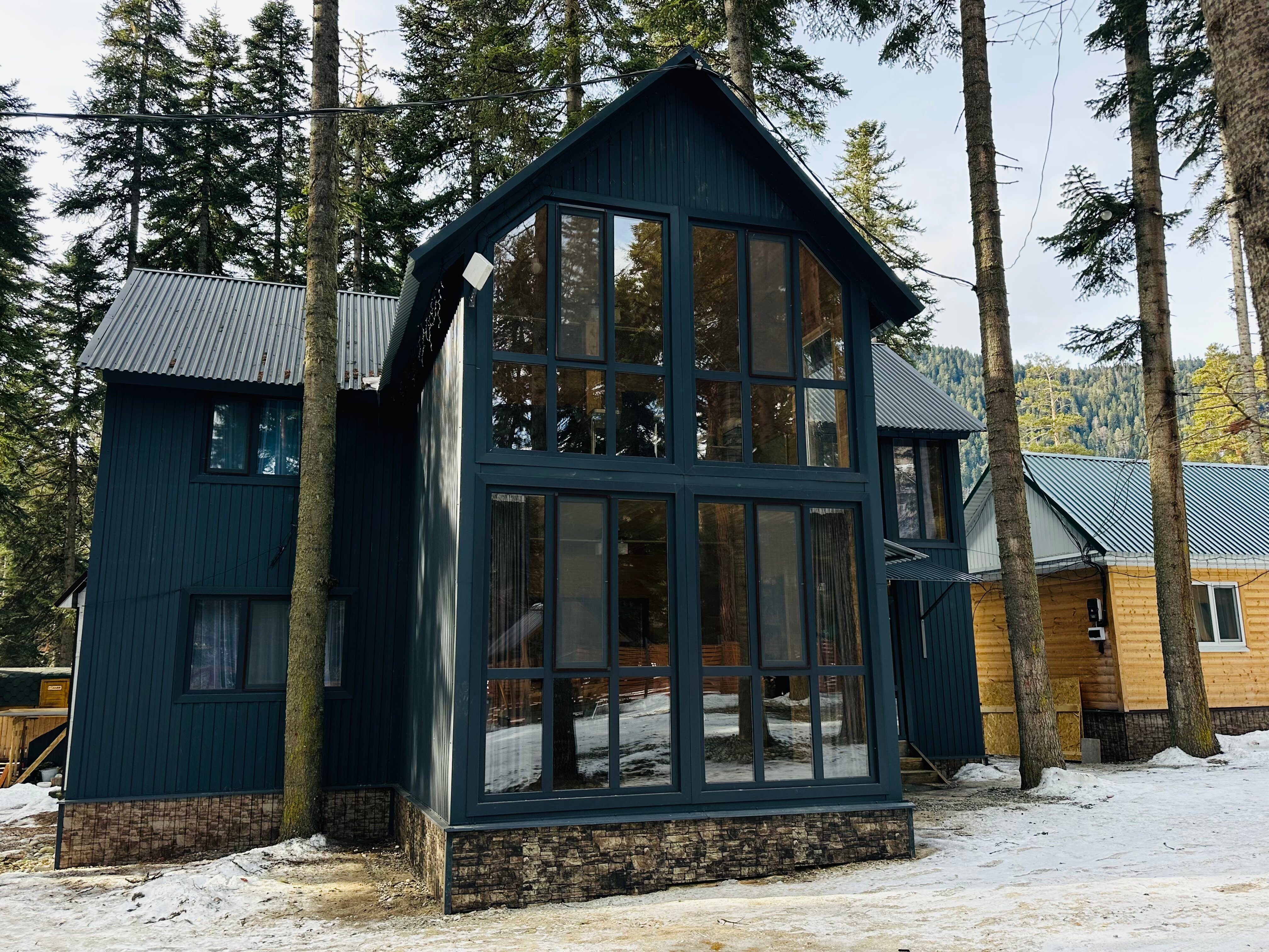 Фото Пихтовый парк