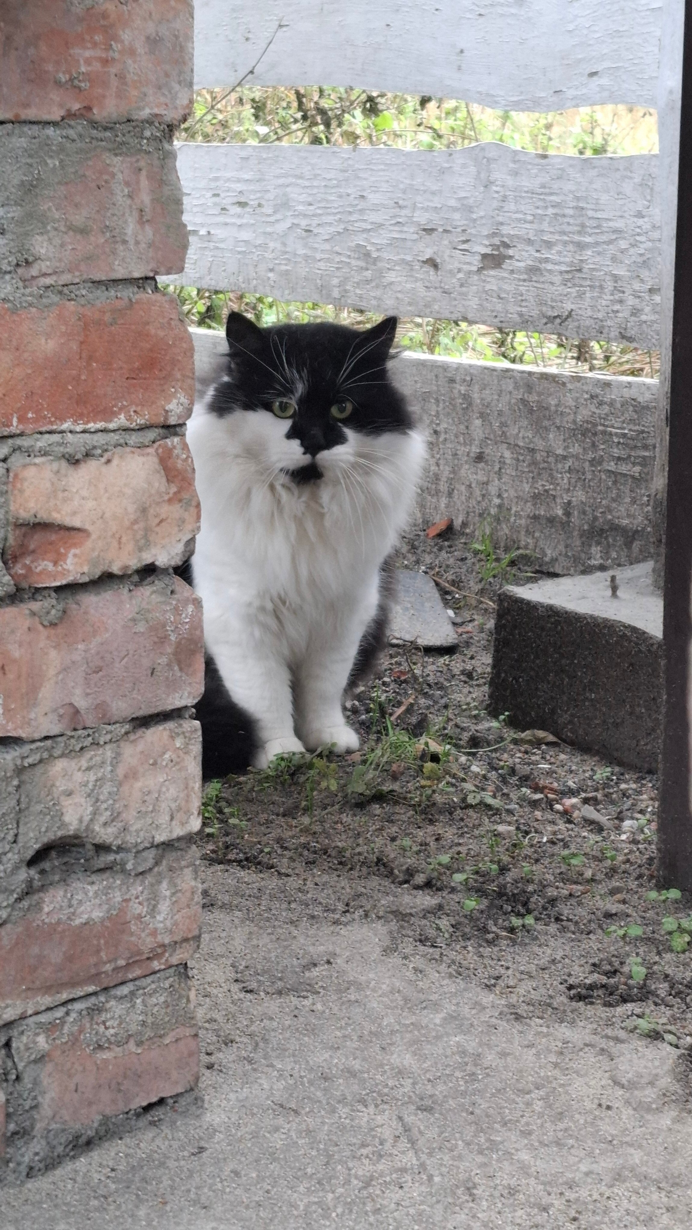 Фото Жилое помещение Дом на Балтийской косе