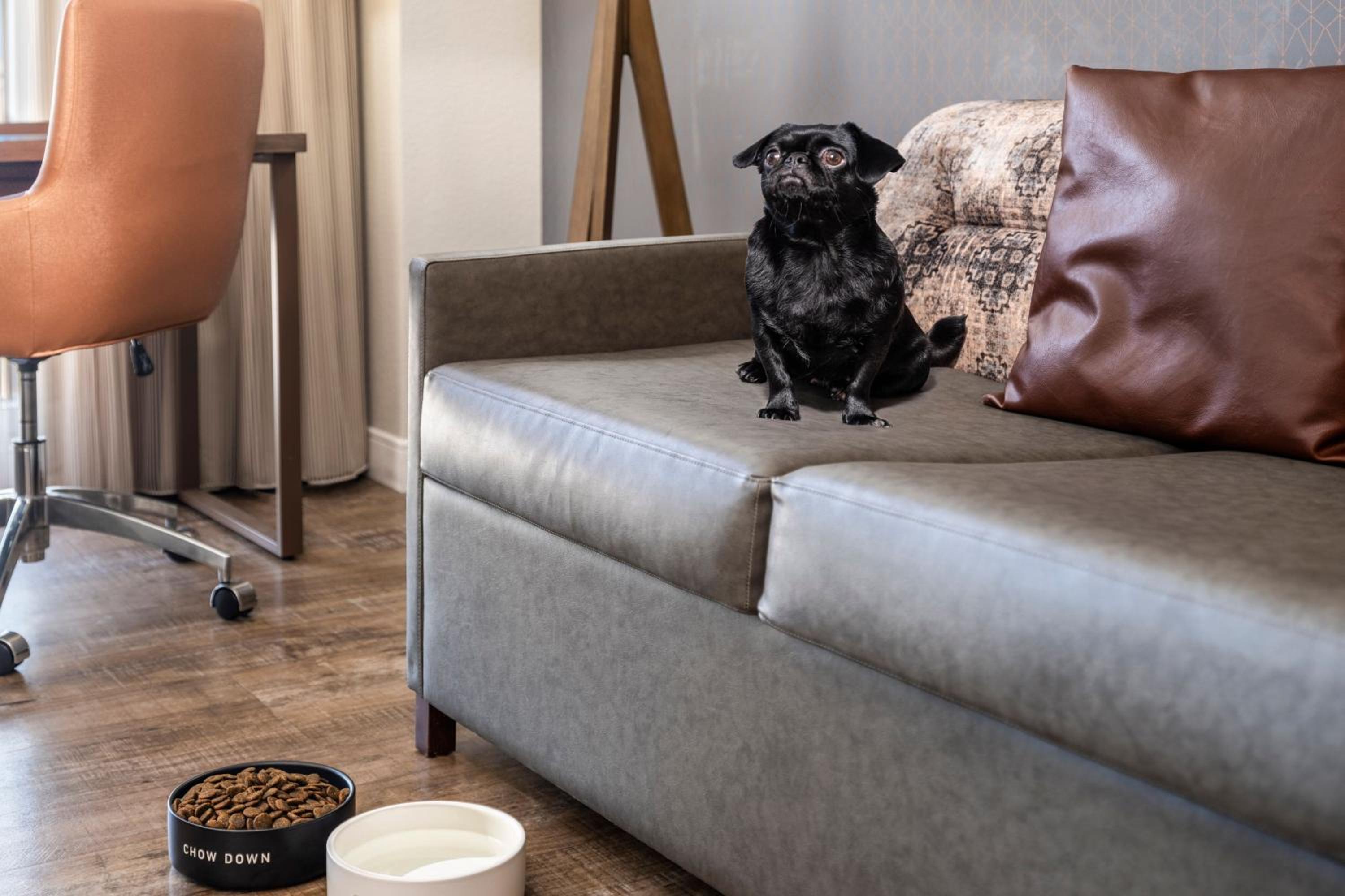 Фото Residence Inn by Marriott Austin Downtown/Convention Center