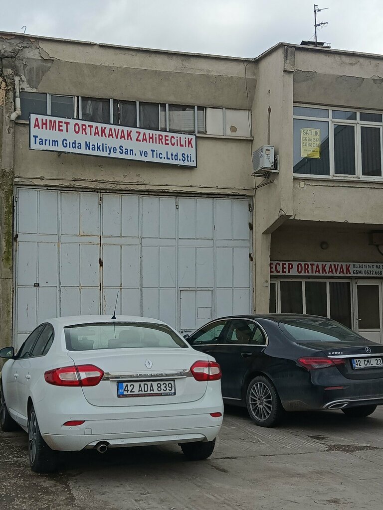 Agricultural enterprise Ahmet Ortakavak Grain Trading, Konya, photo
