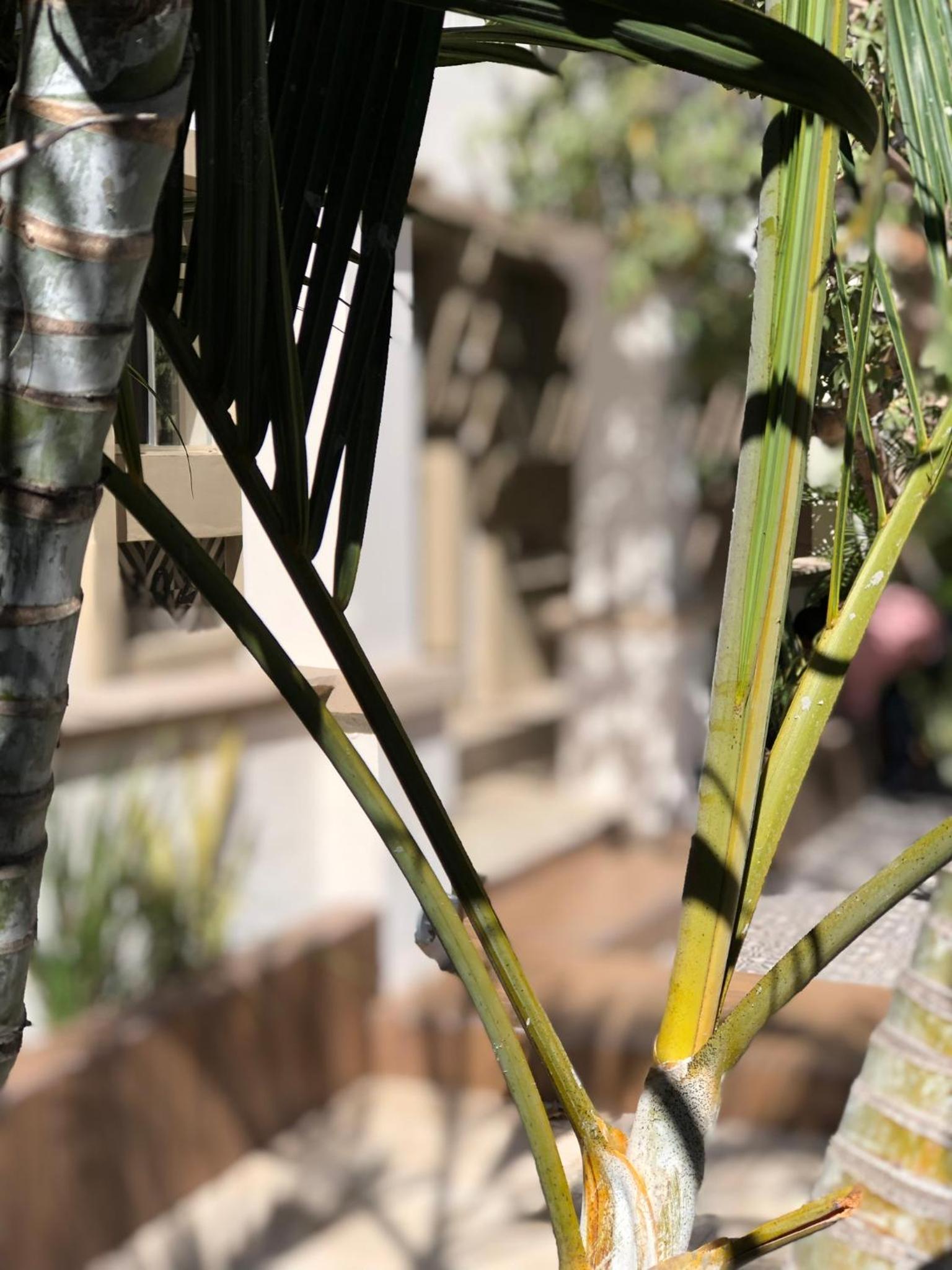 Фото Hotel Casa 511