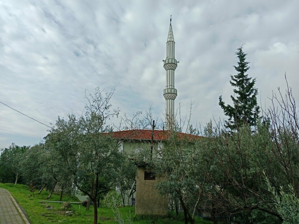 Mosque Haci Hasan Ozfidan Mosque, Izmir, photo