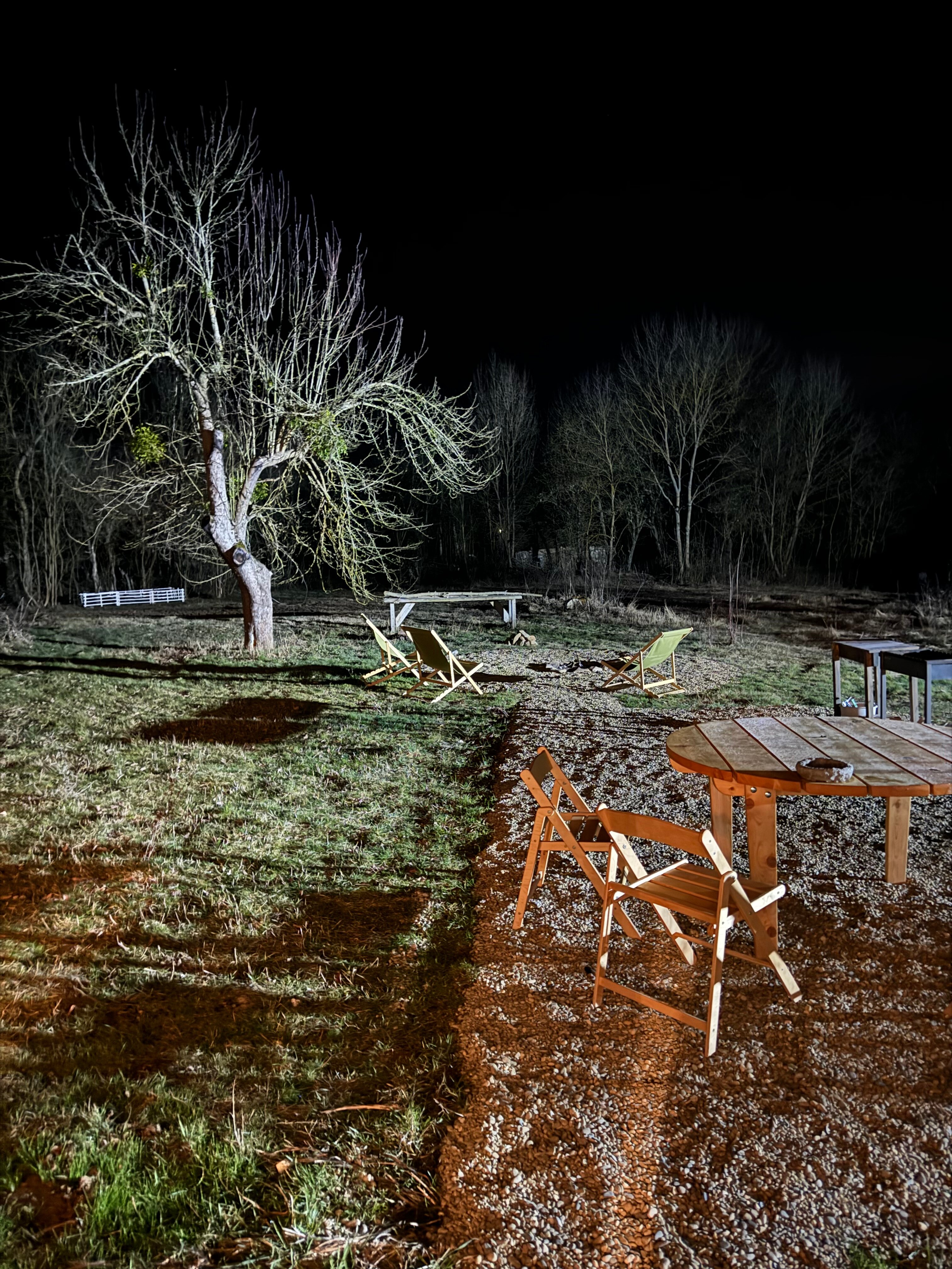 Фото Тихий Лес