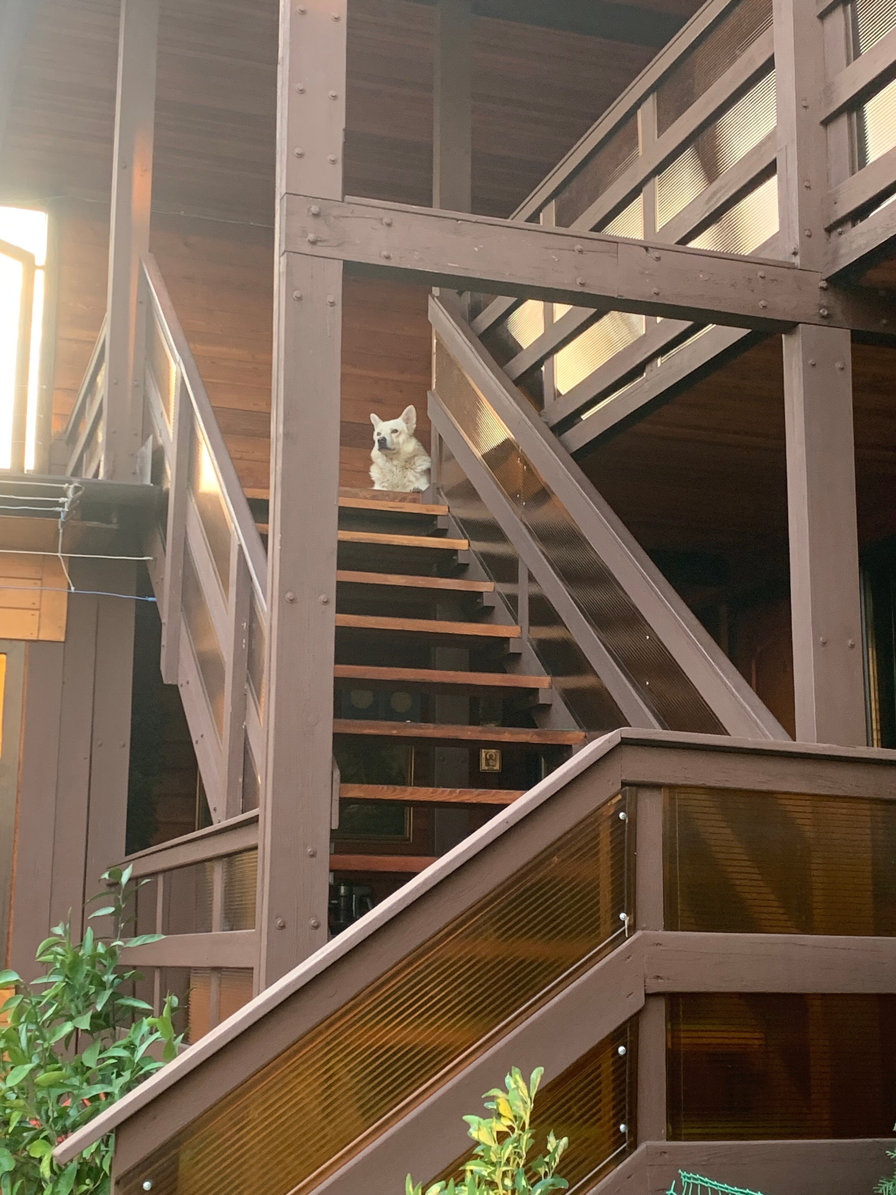 Фото Вуд Хаус