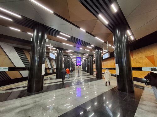 Тютчевская (Москва, Новомосковский административный округ, район Коммунарка, посёлок завода Мосрентген), станция метро в Москве