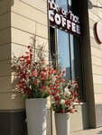 Hot or Not (Vasiliya Lanovogo Street, 1к2), coffee shop