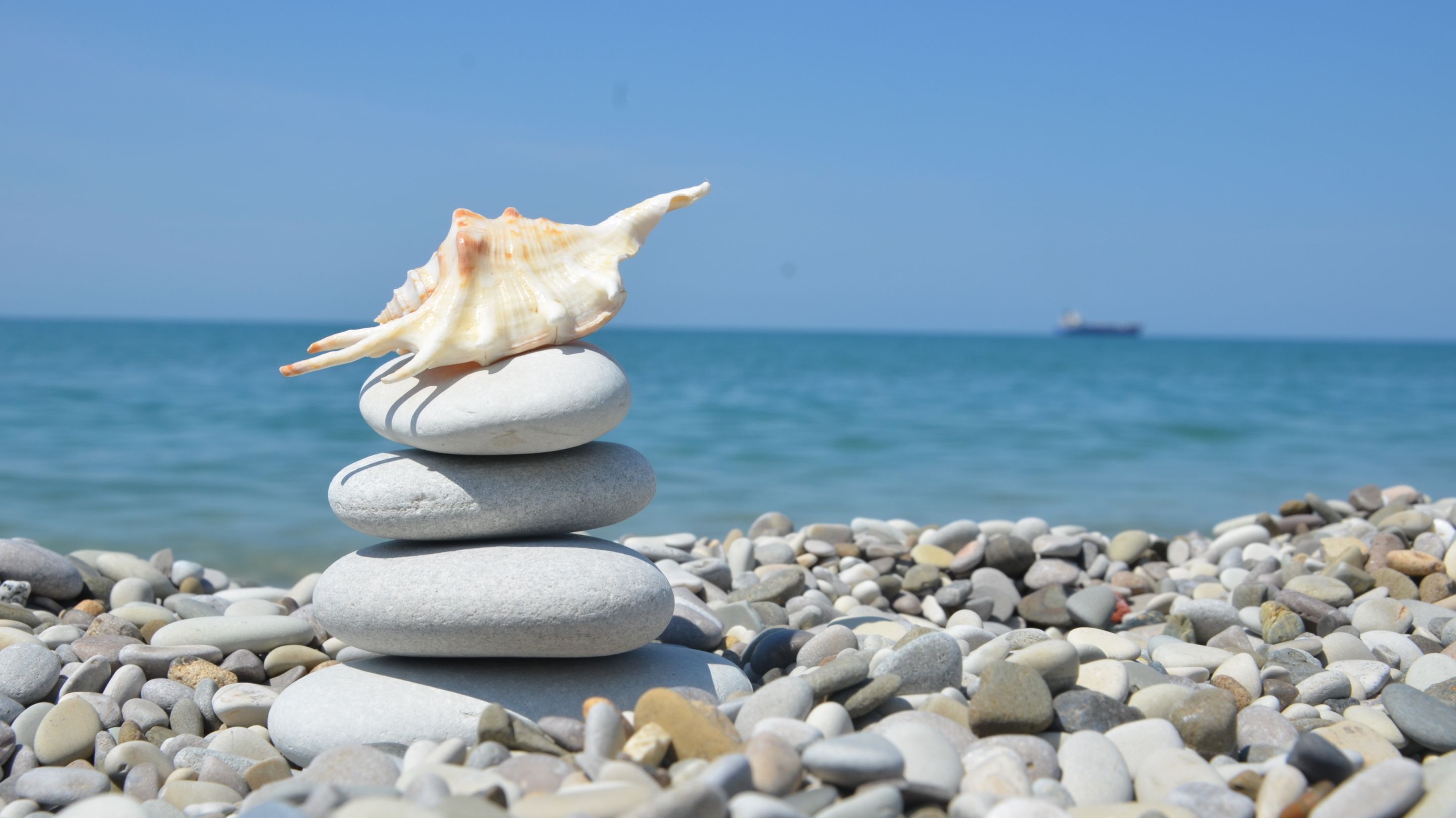 Фото Крым-Дрим