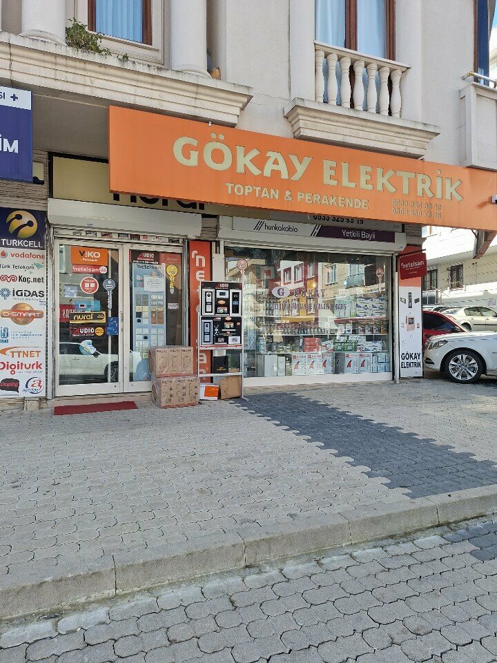 Electronic devices and components Gokay Electric, Istanbul, photo