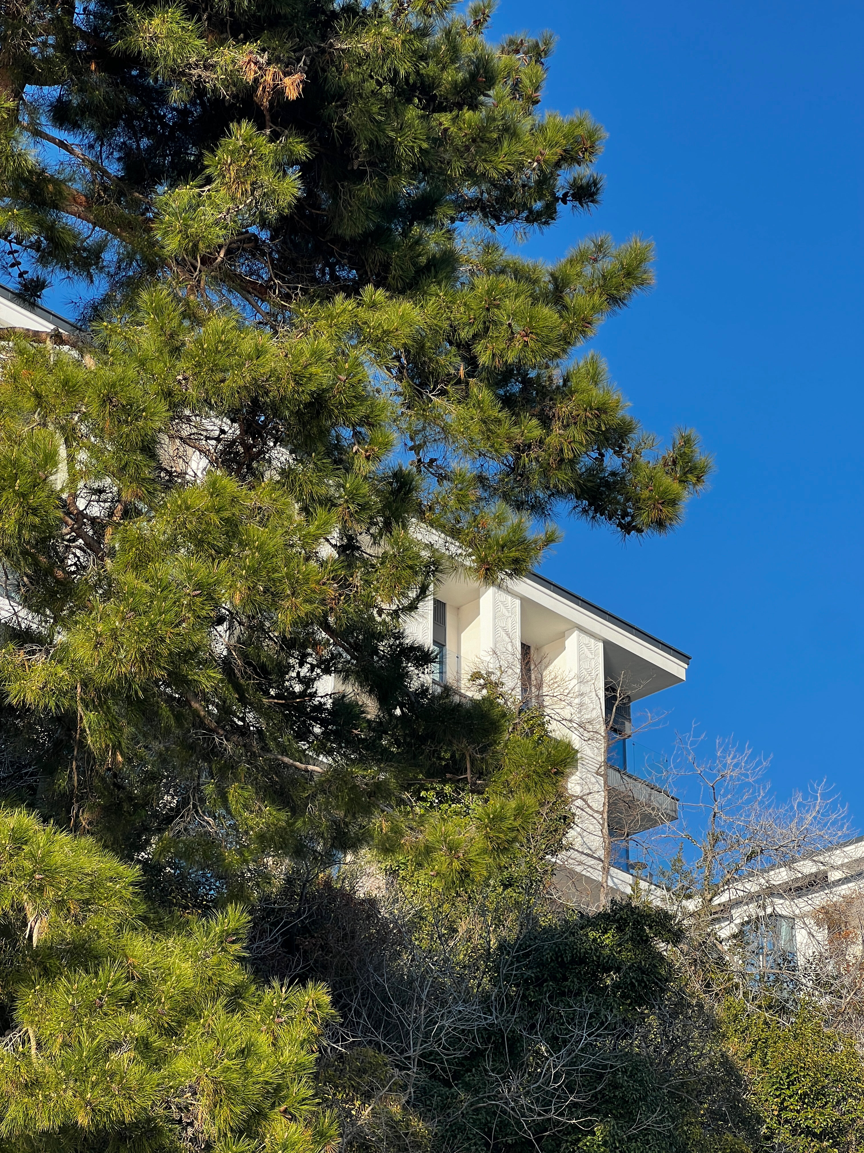 Фото Апарт-Отель на Лучезарной