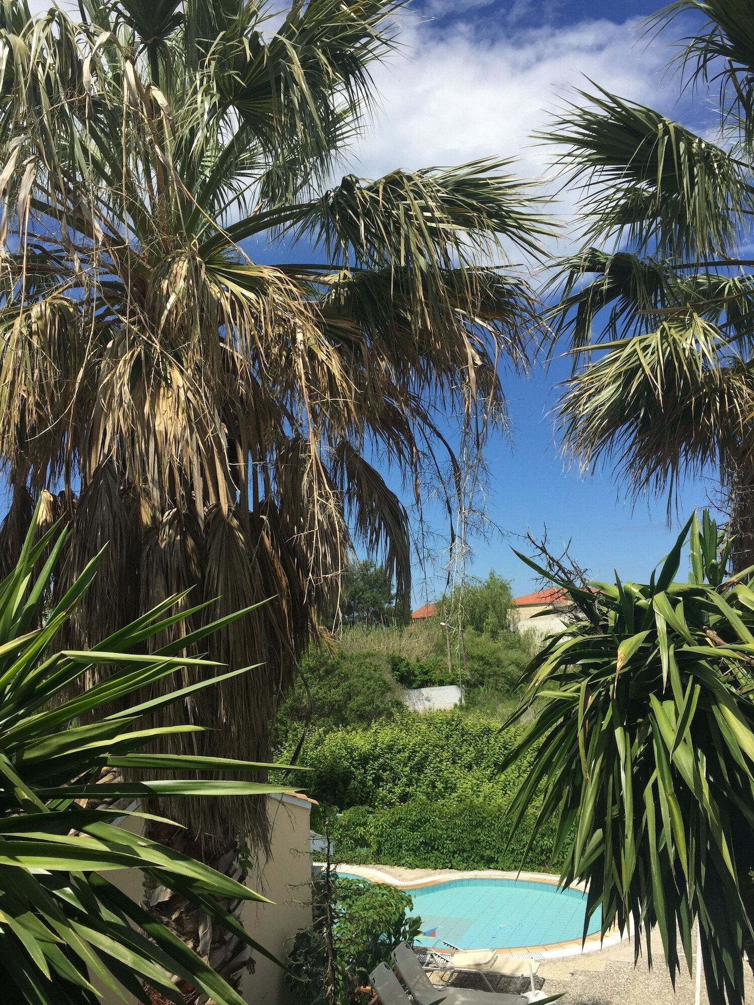 Фото Ilena Hotel