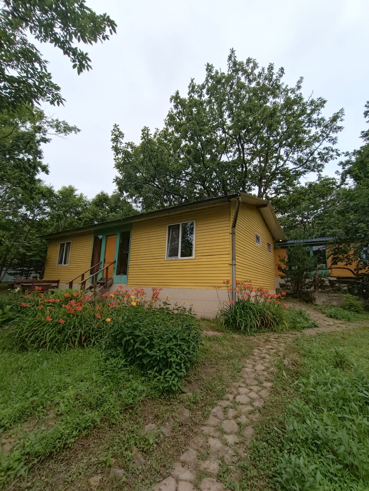 Фото Камень Льва