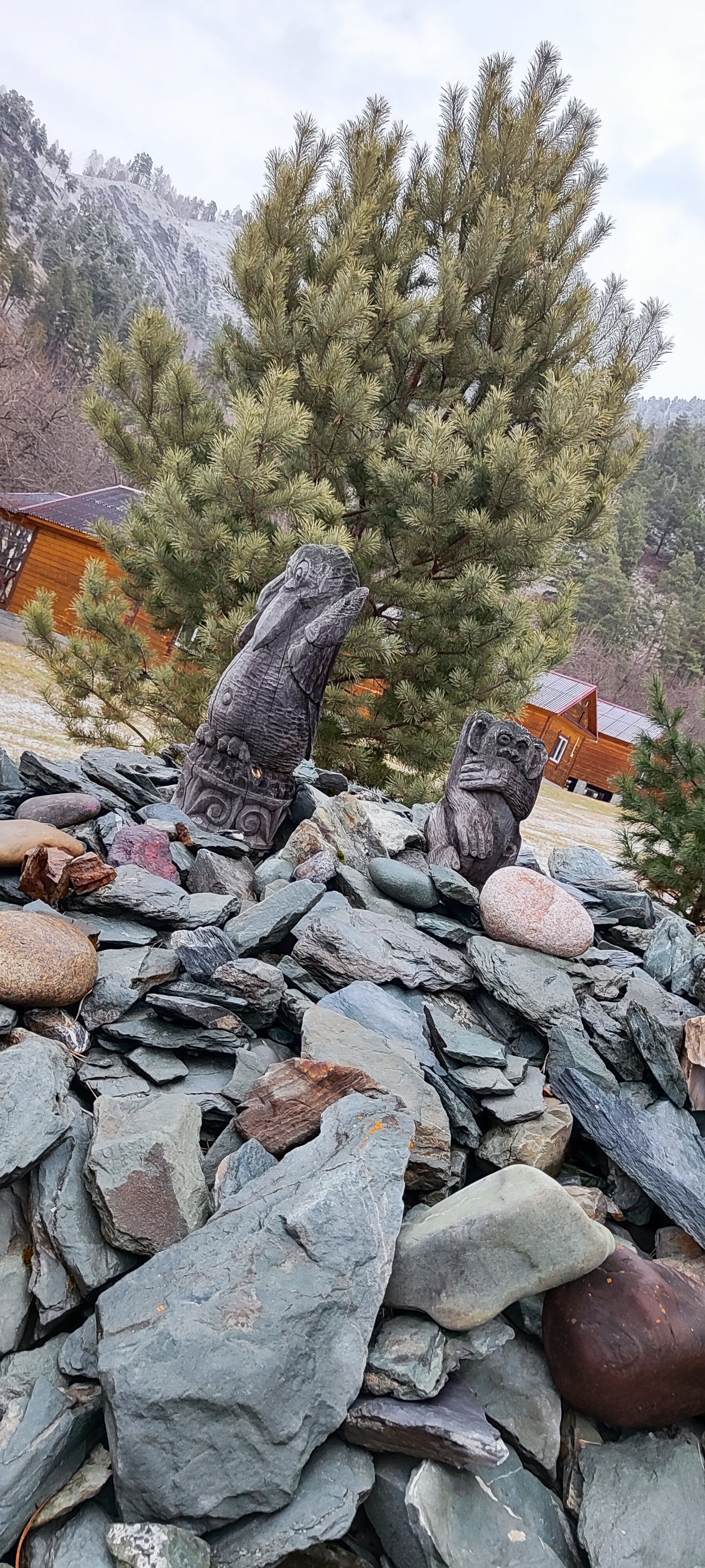 Фото Горный источник