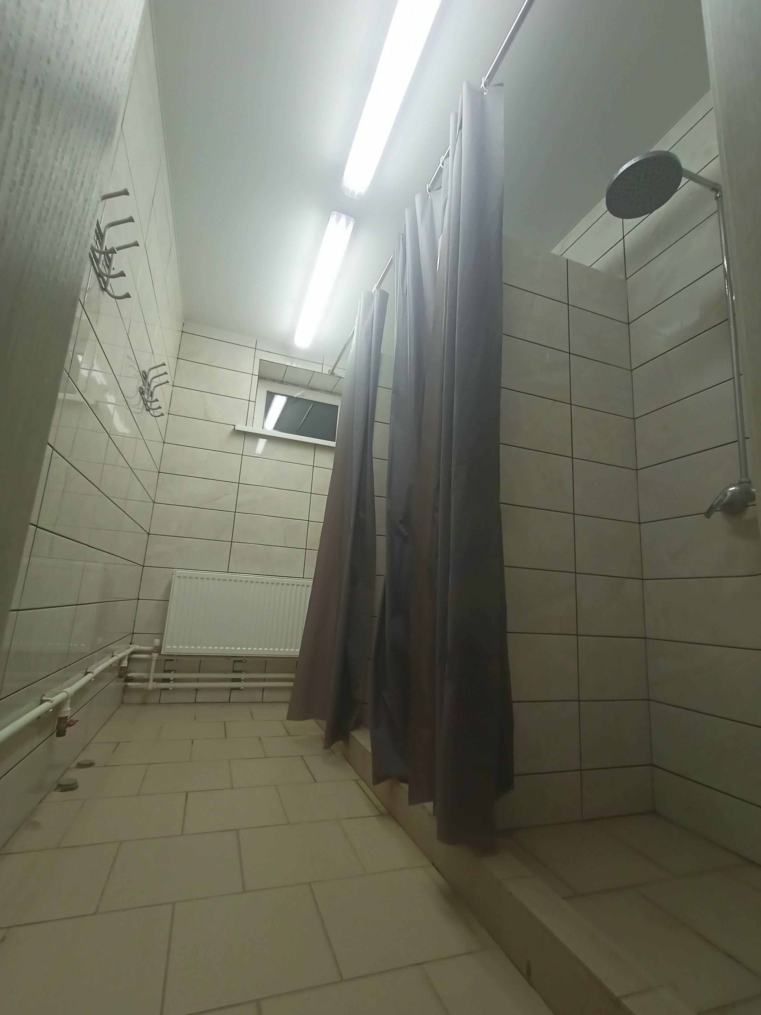 Фото Подкова