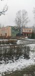 Некрасово (Kaliningrad Region, Guryevskiy munitsipalny okrug, posyolok Nekrasovo, Tsentralnaya ulitsa), public transport stop