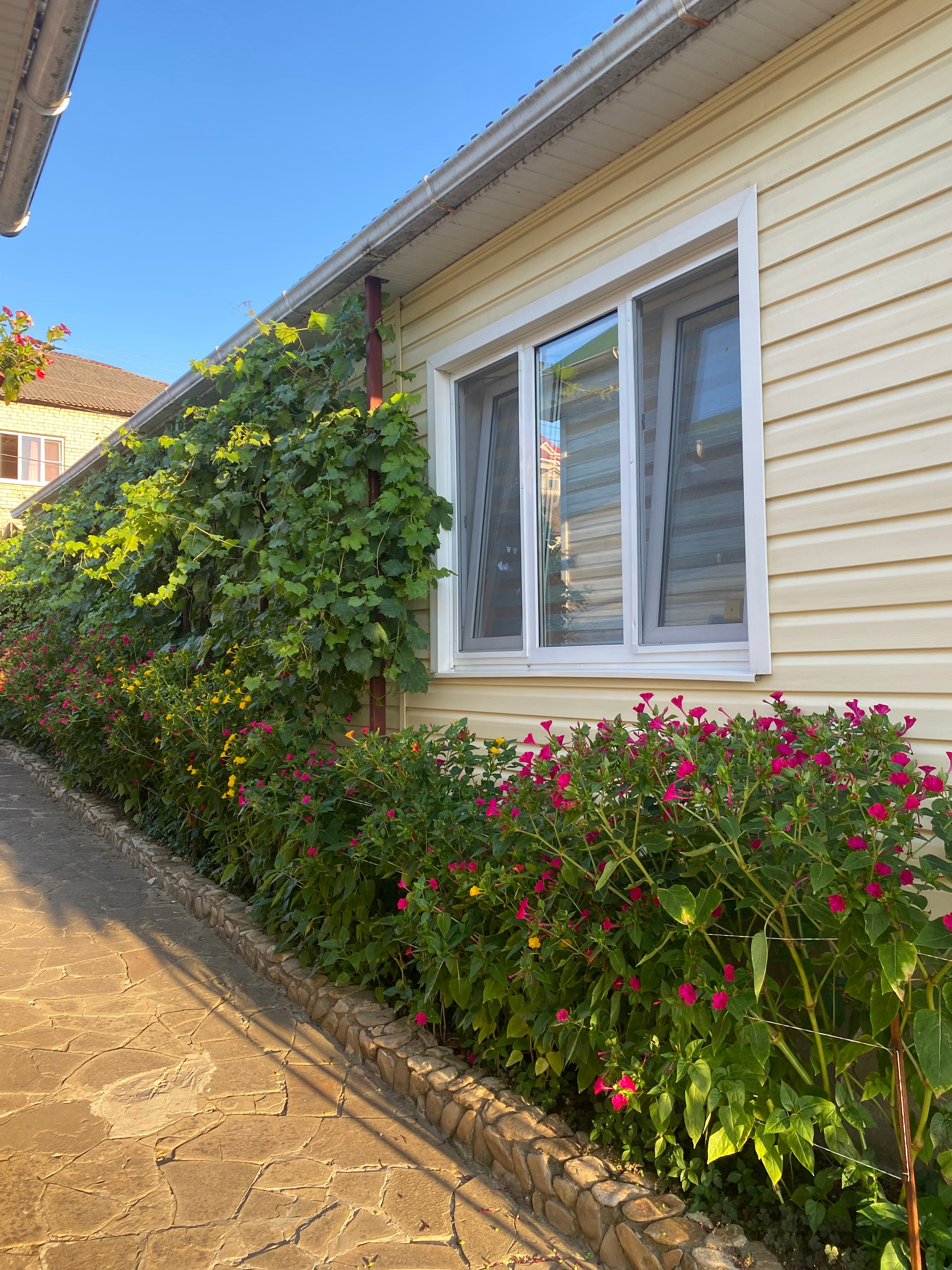 Фото Архипка Rooms