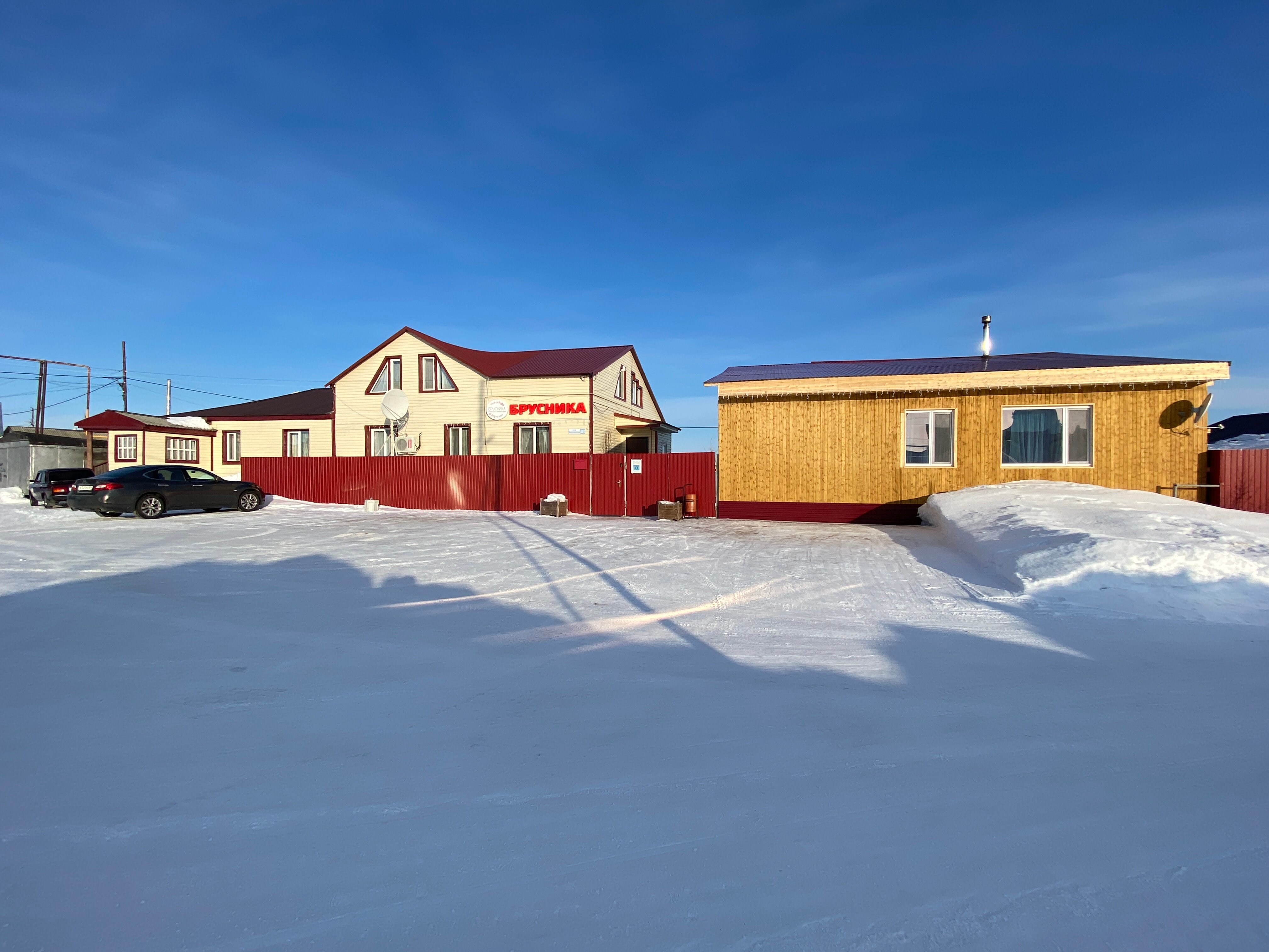 Фото Брусника