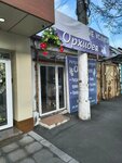 Orkhideya (Kosta Avenue, 214), ritual accessories