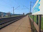 Zarechnaje stop (Minskaja region, Smaliavichy) ، محطة سكة حديدية