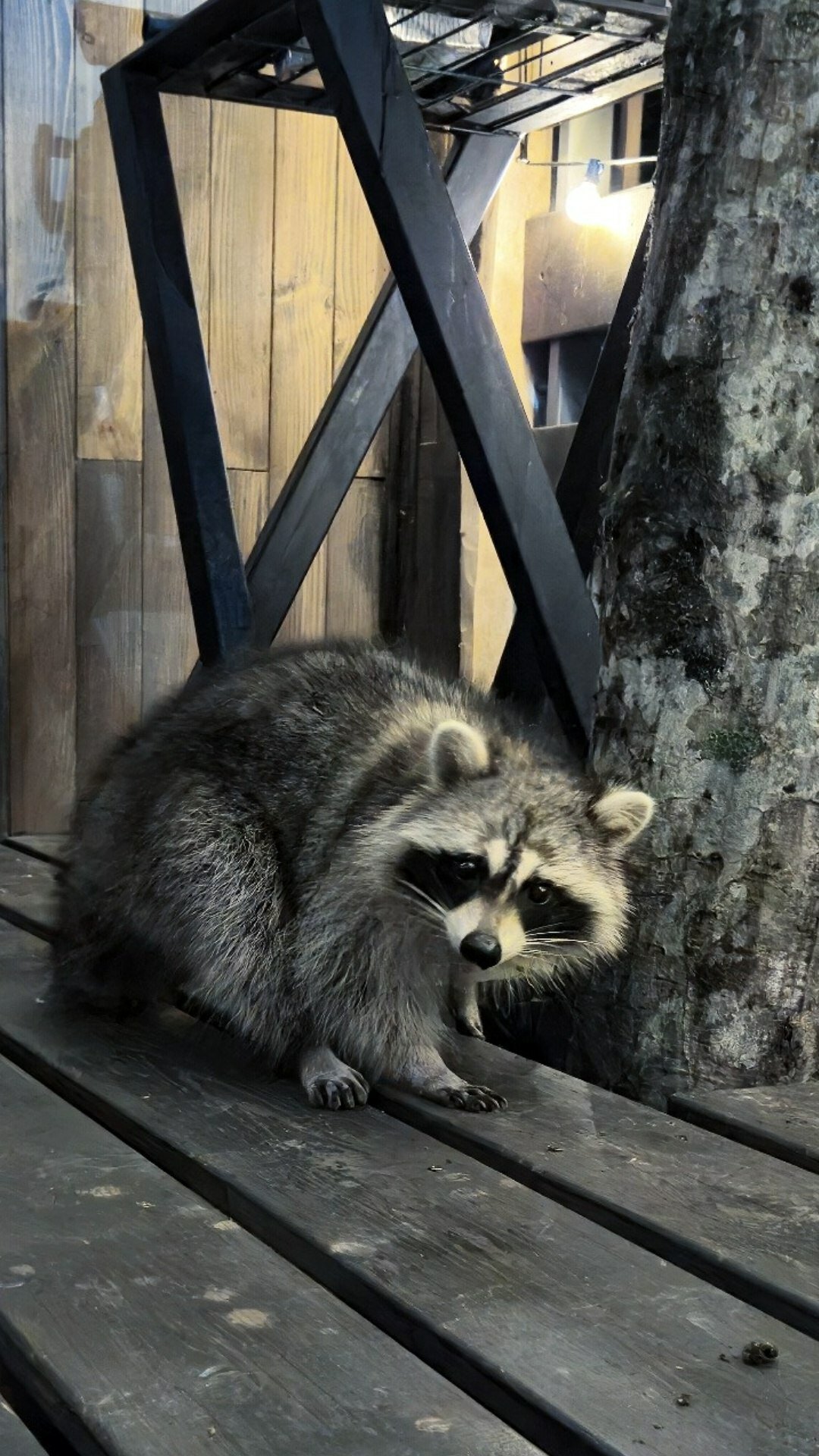 Фото Дом Вилладж