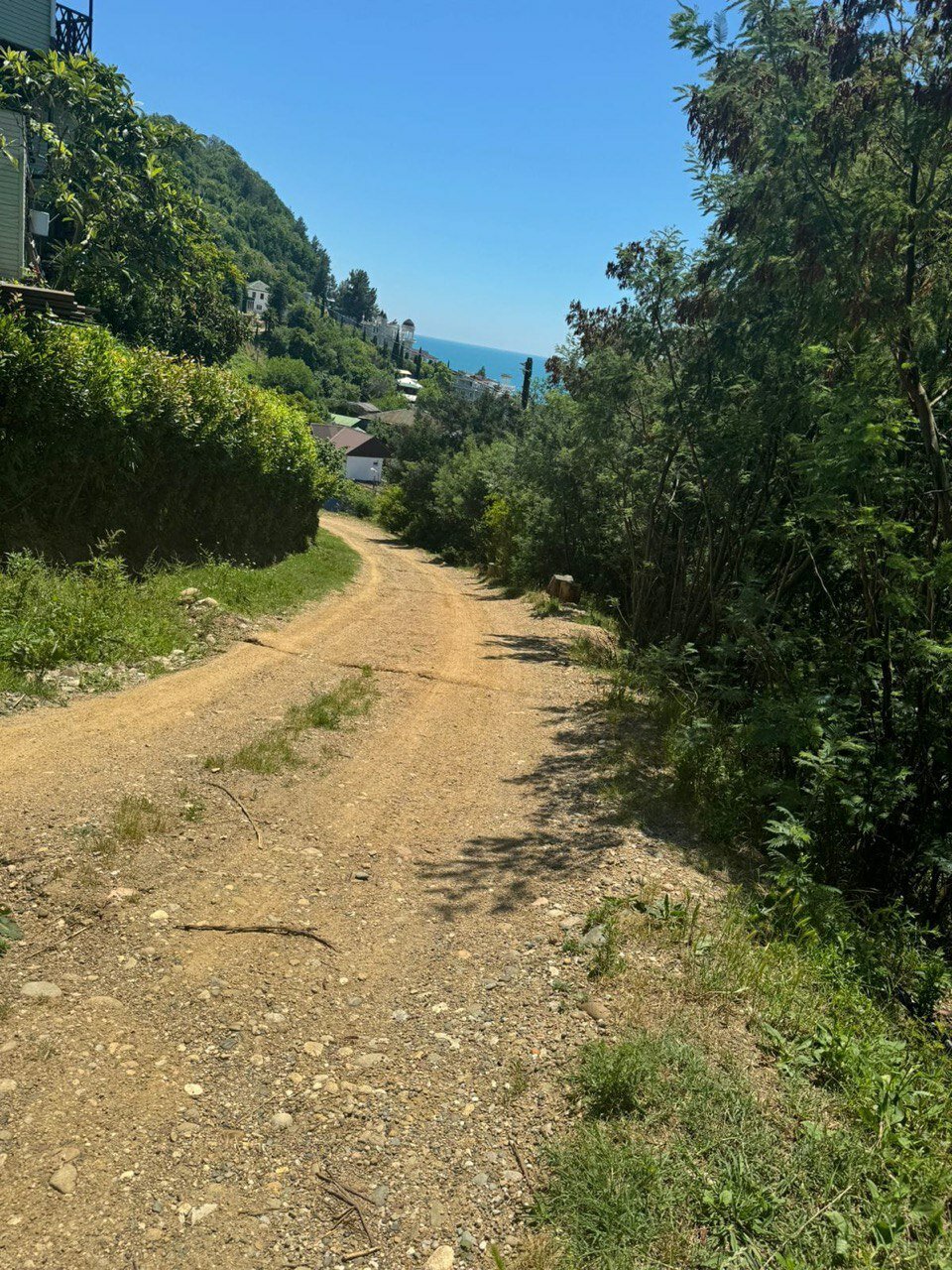 Фото Эвелина