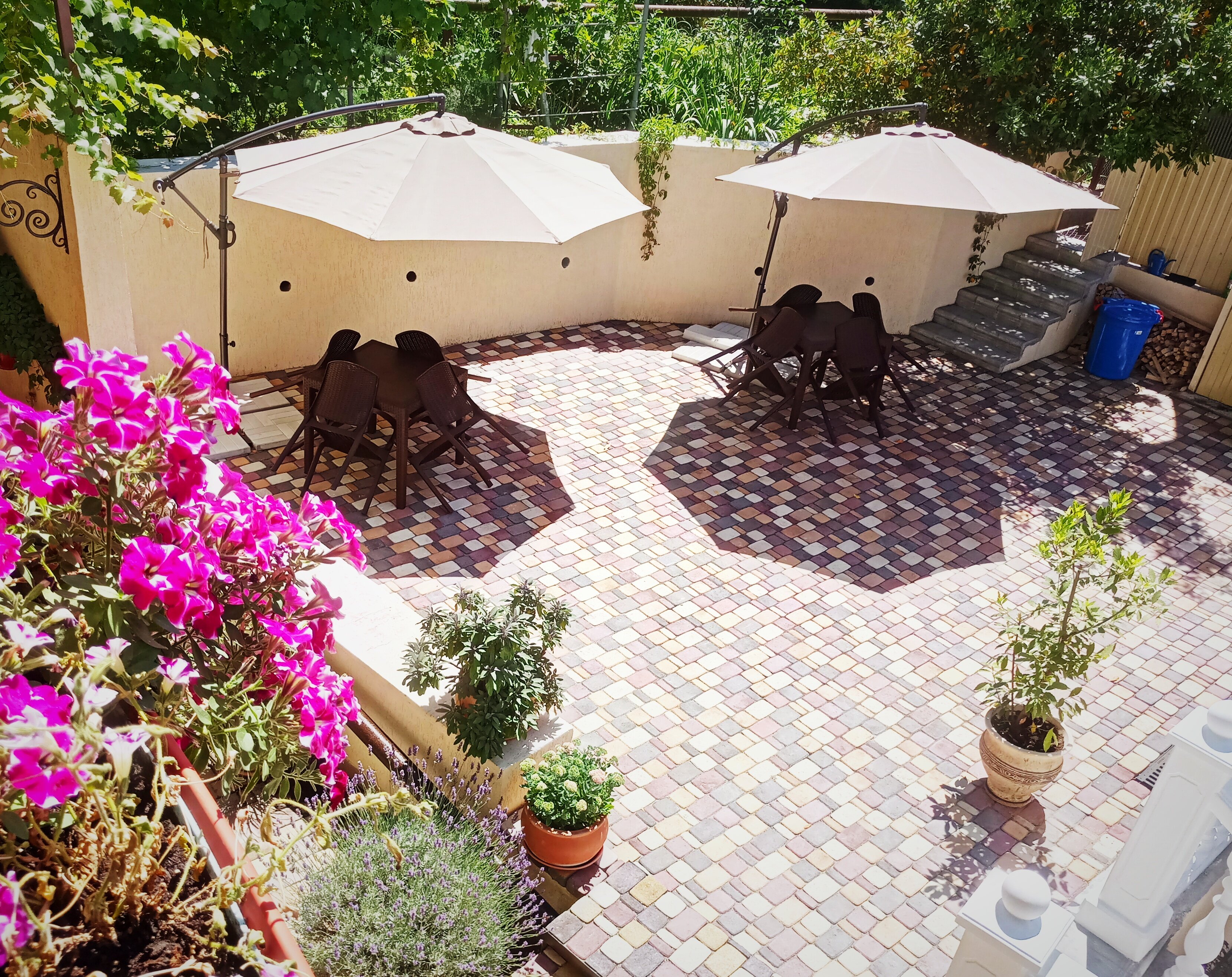 Фото Французский дом