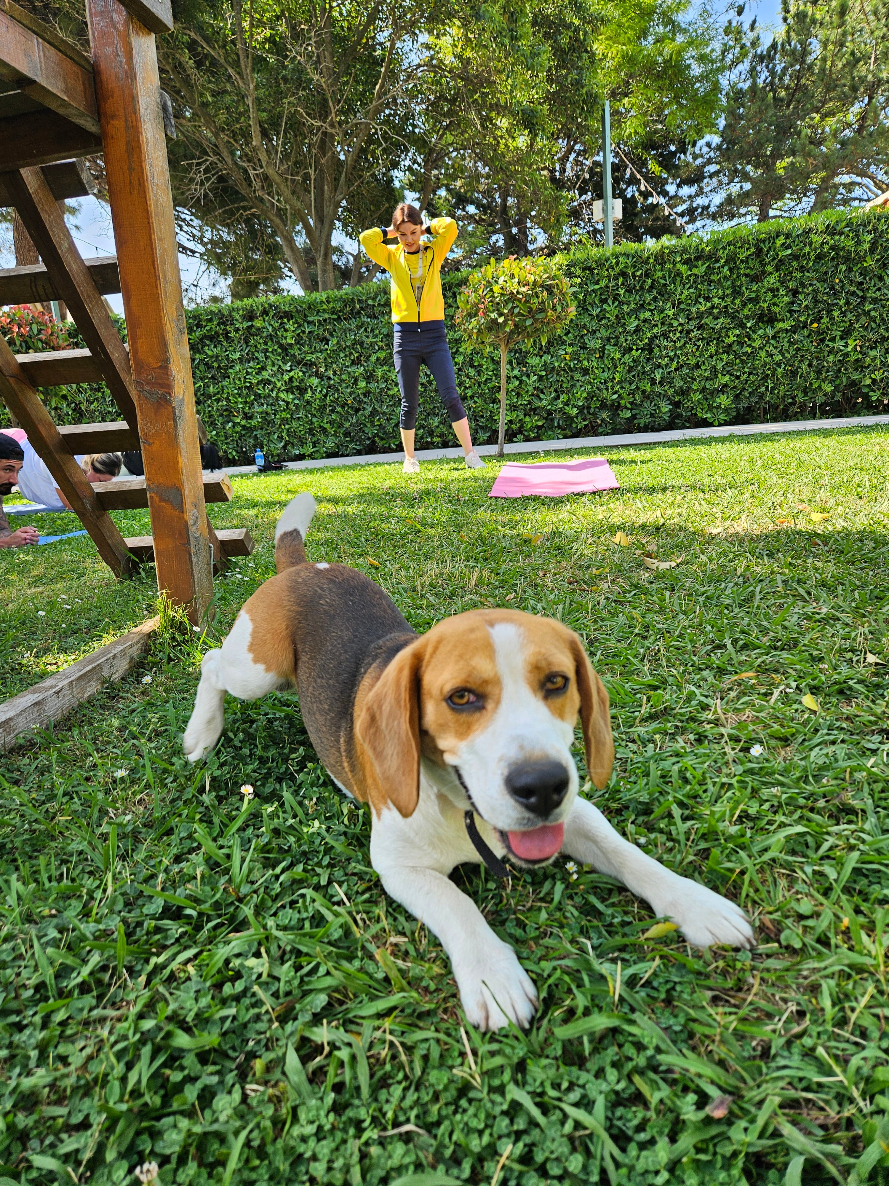 Фото Montenegro Beach Resort