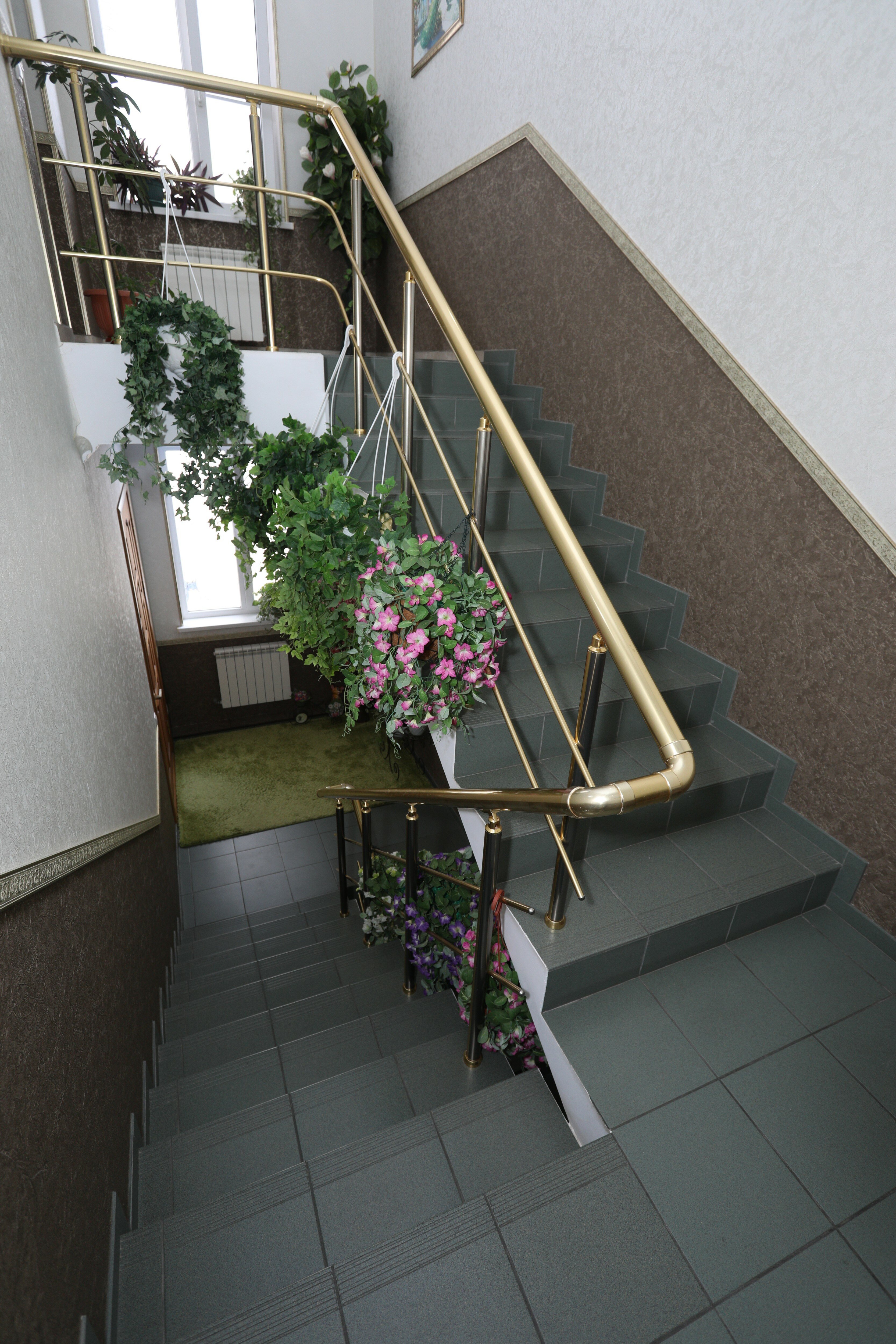 Фото Династия