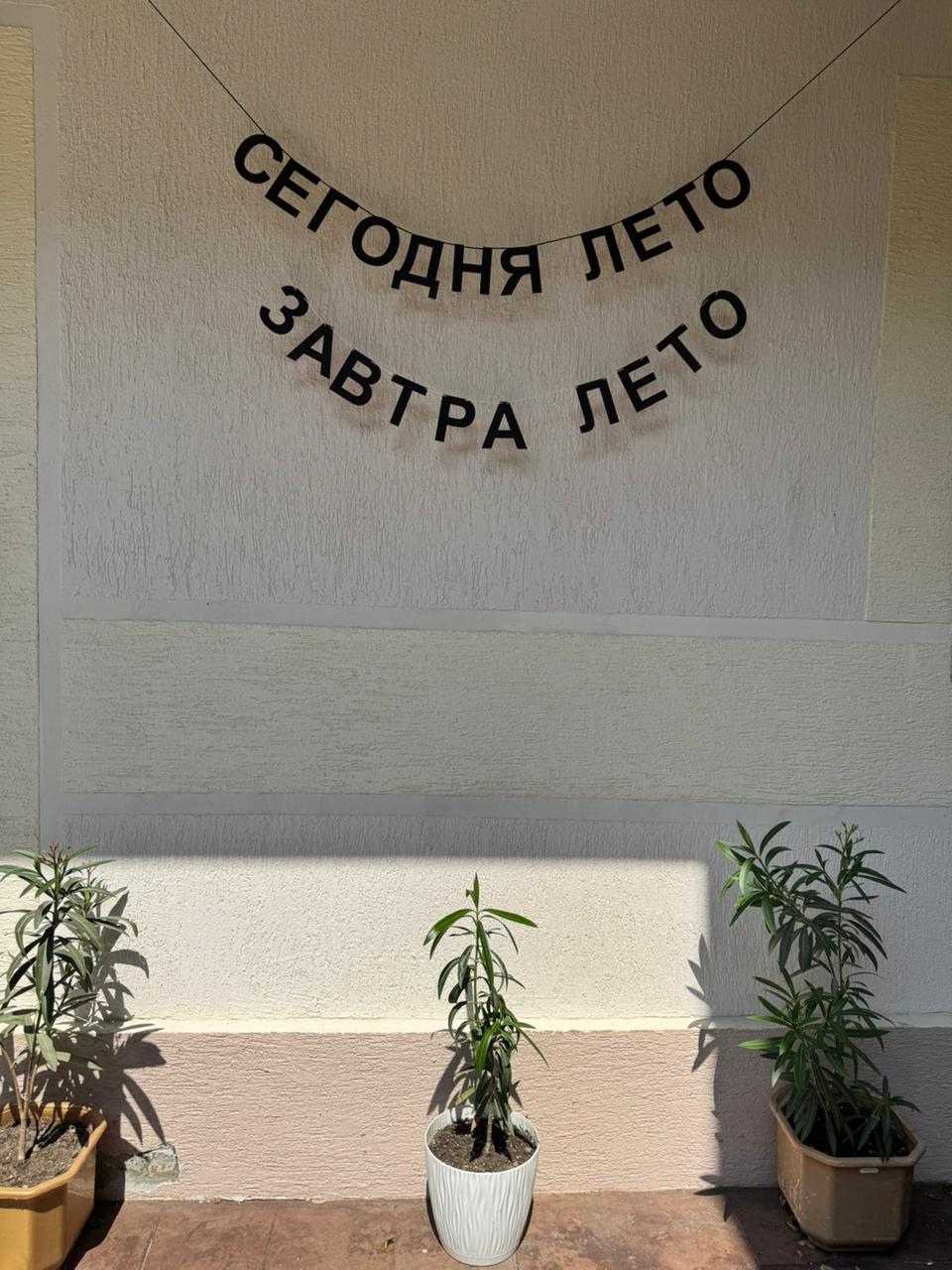 Фото Дарья +