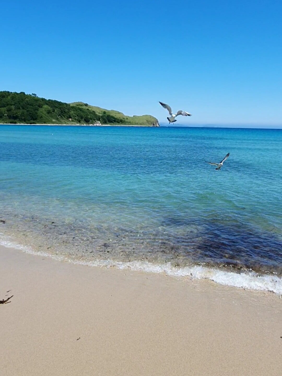 Фото Экопарк Бухта Астафьева