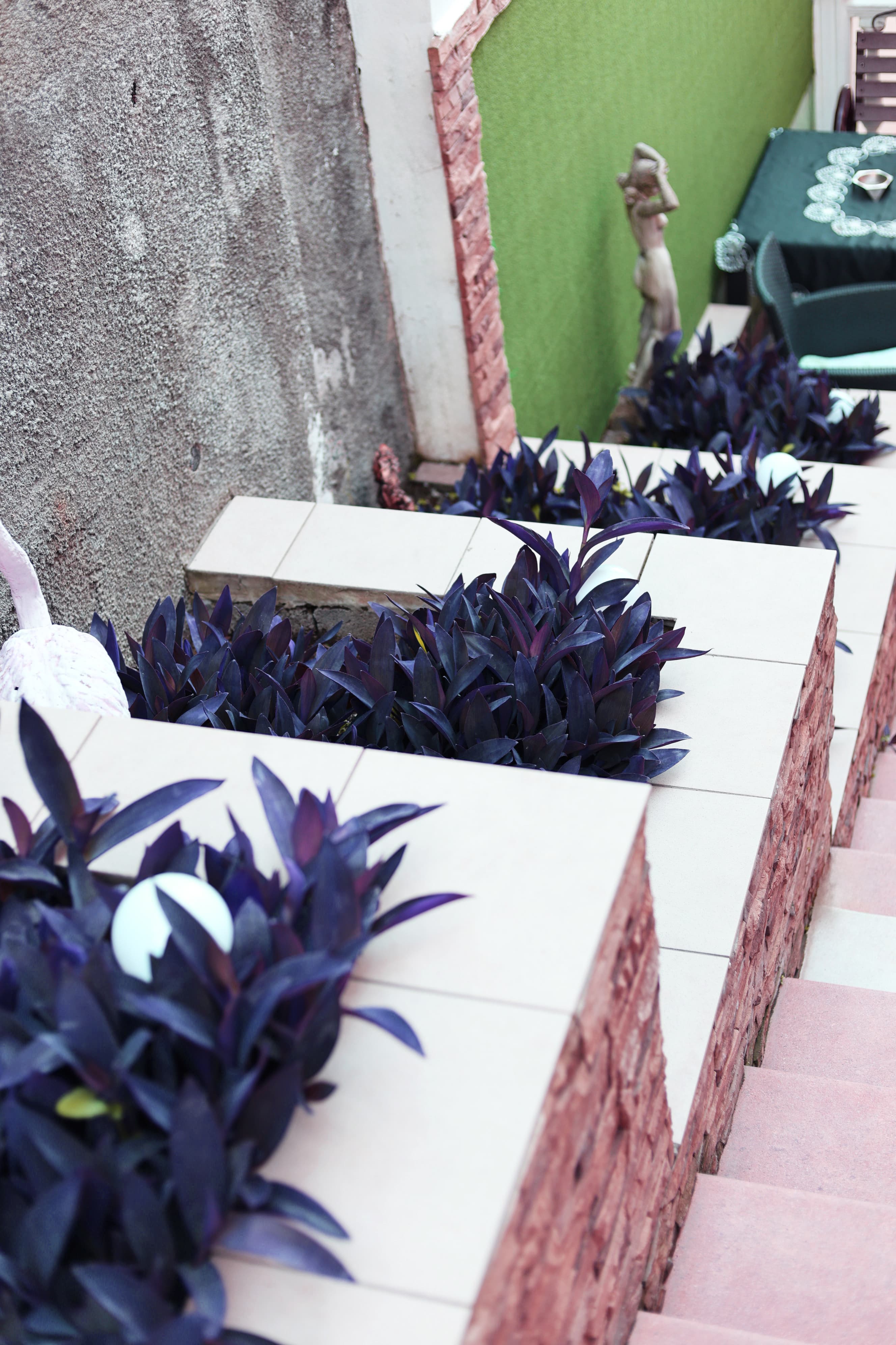 Фото Южный берег