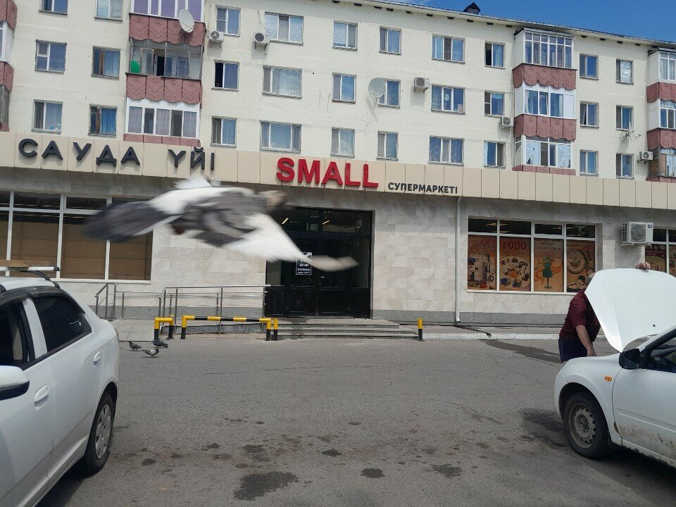 Payment terminal Qiwi, Astana, photo