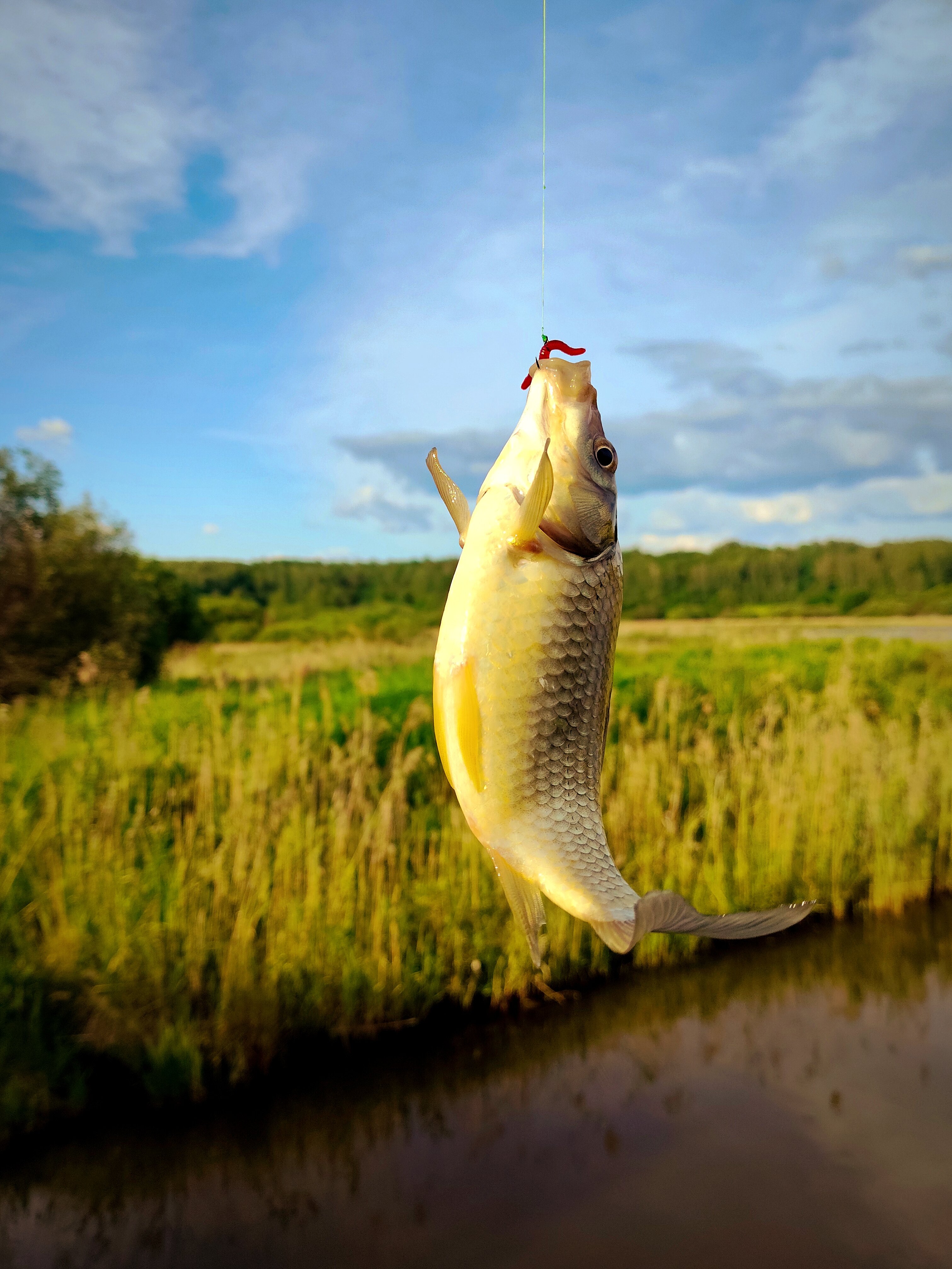 Фото Лаки Лейк