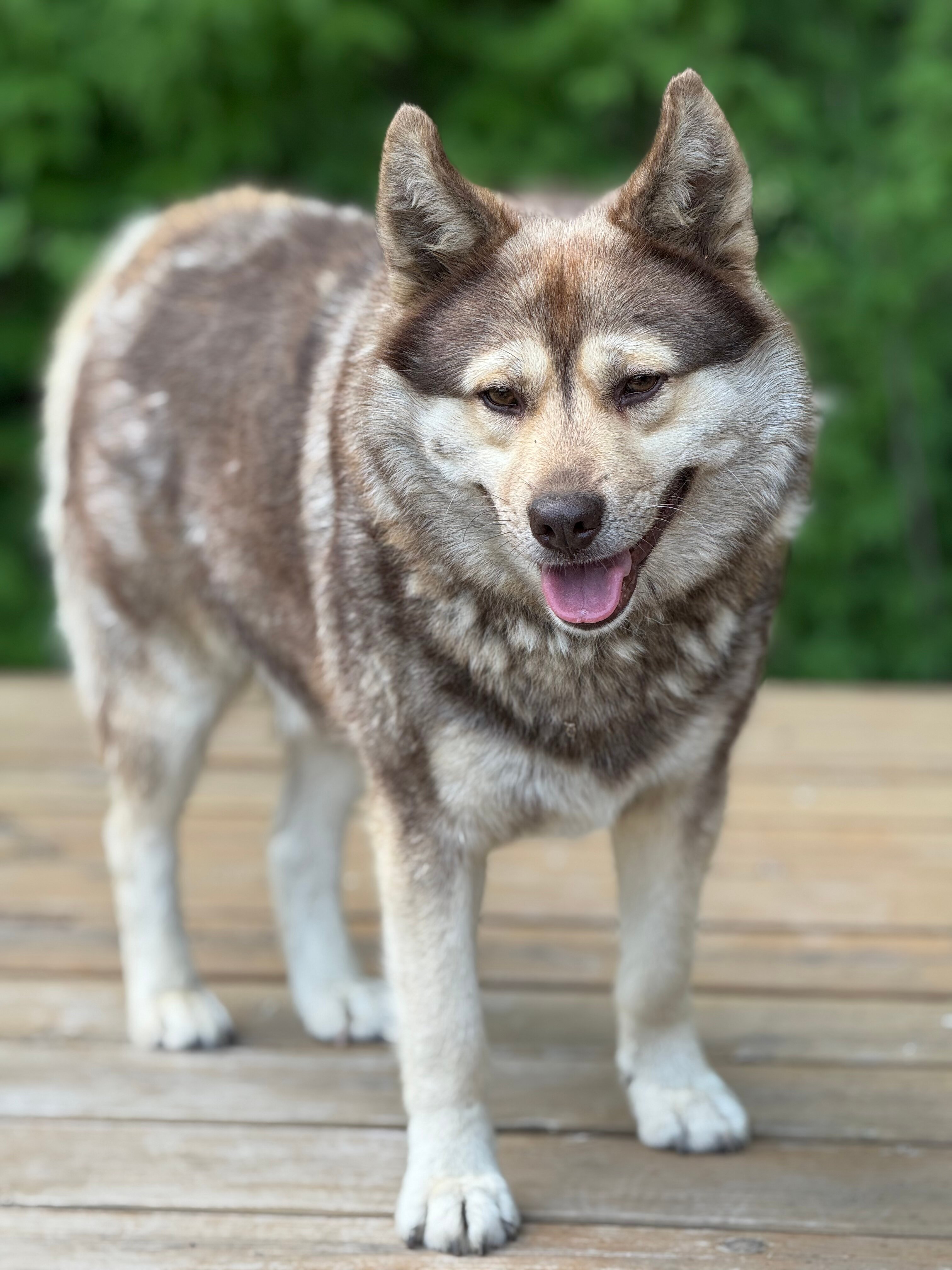 Фото Драйв Парк